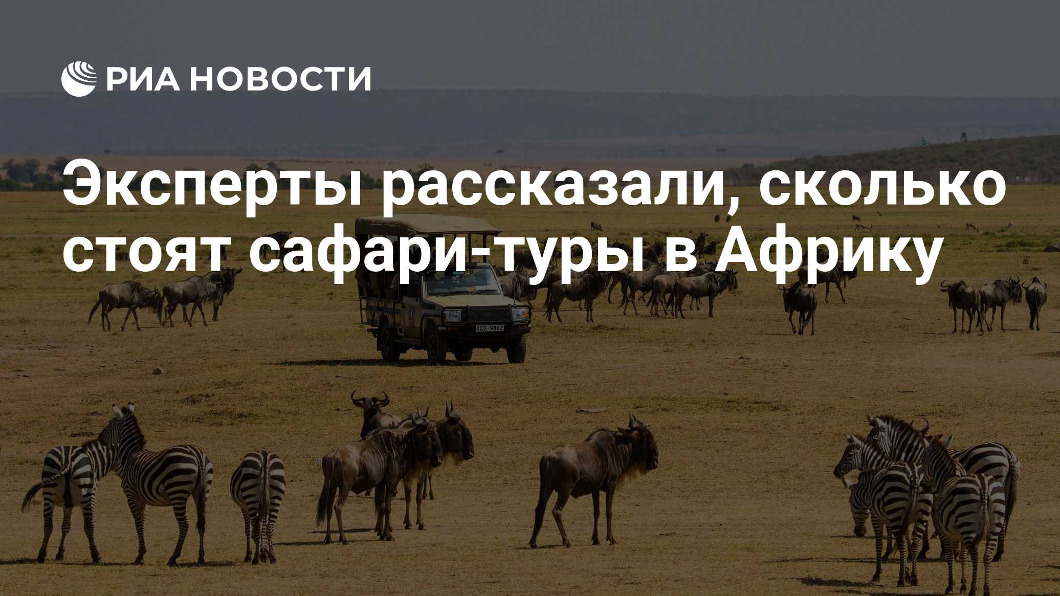 Эксперты рассказали, сколько стоят сафари-туры в Африку - РИА Новости,  27.12.2023