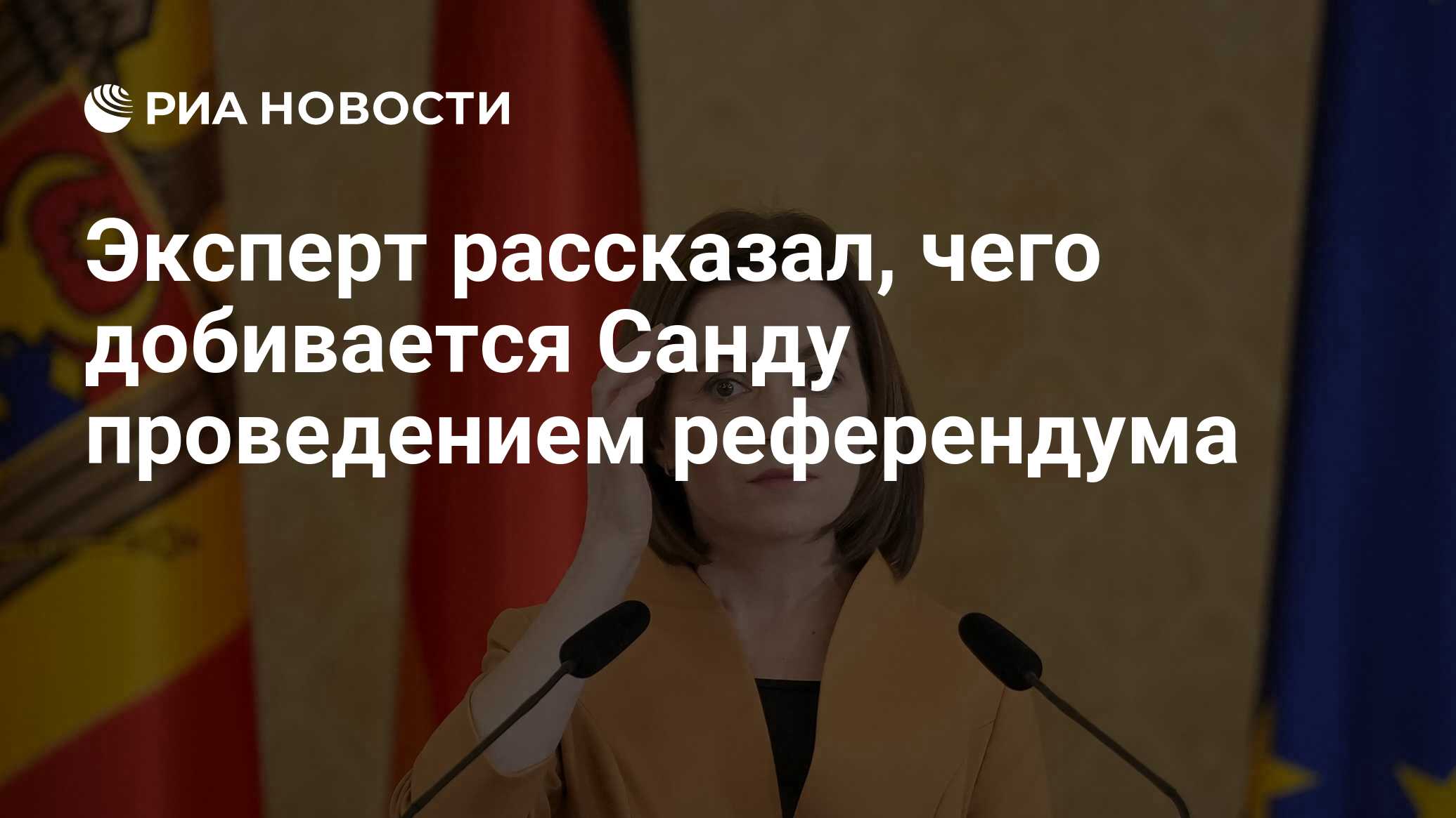 В этом государстве проводится больше всего референдумов