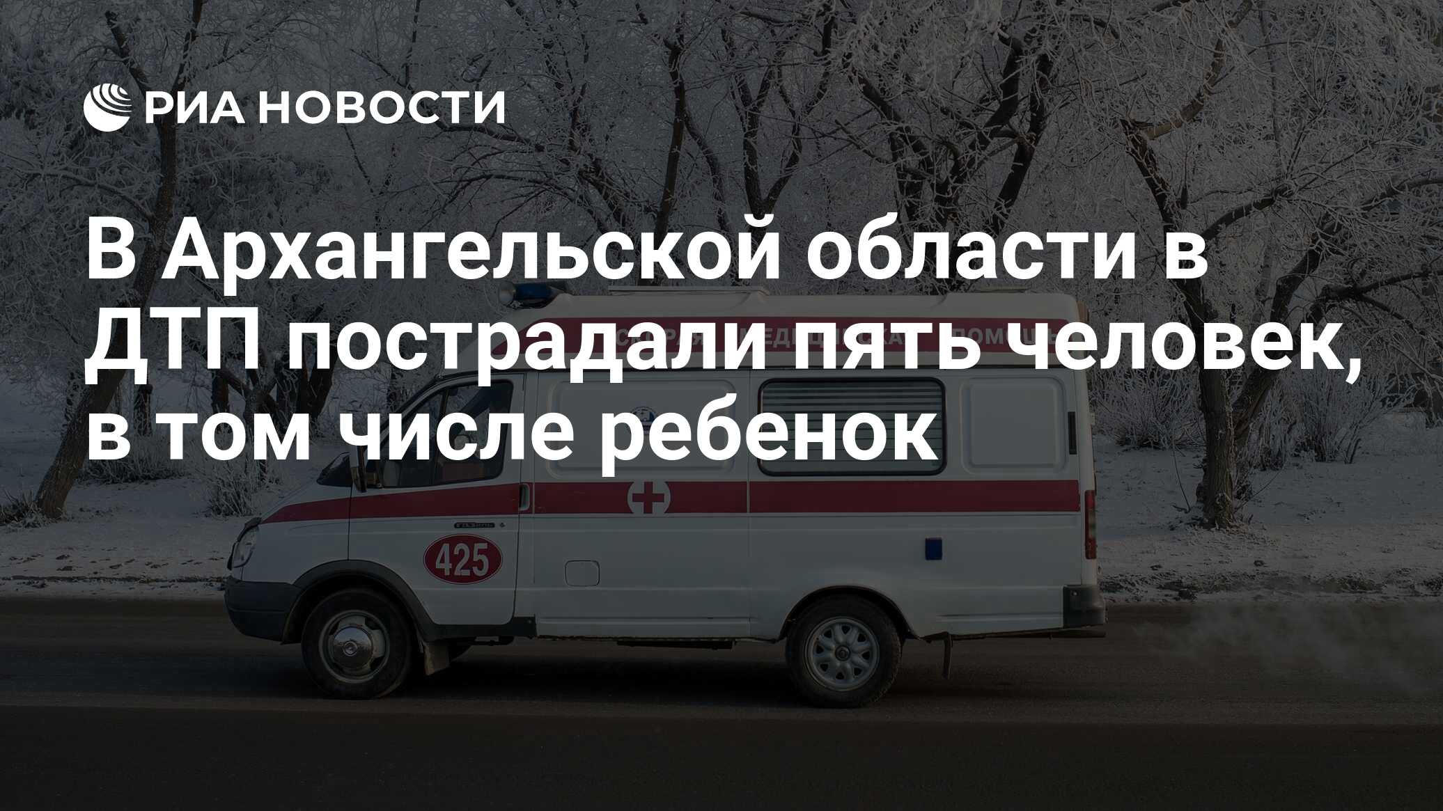 В Архангельской области в ДТП пострадали пять человек, в том числе ребенок  - РИА Новости, 09.01.2024