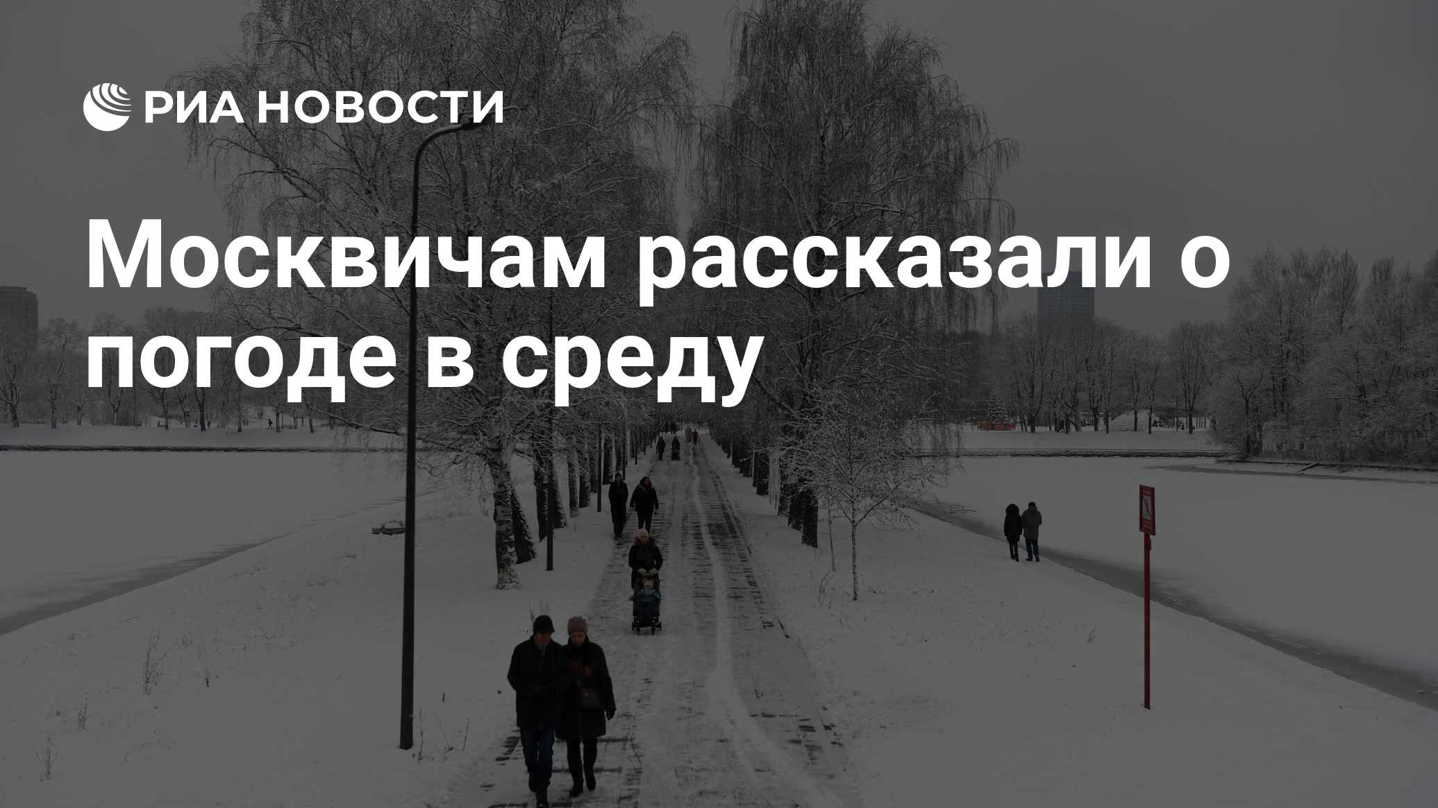 Вяземский первый снег анализ