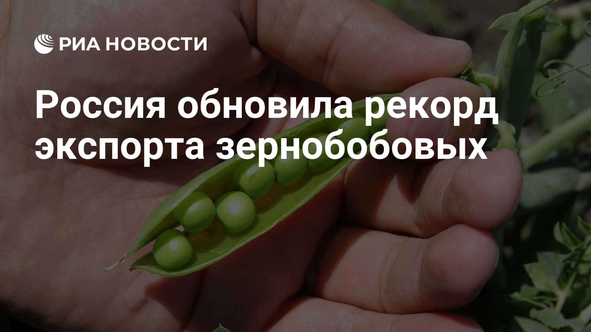 Предварительное количество. Перспективы развития иркутской области. Итоги переписи населения 2020 года в россии. Протоколы спартакиады школьников среди инвалидов пода 2019. Порядок и сроки приемки товаров по количеству.