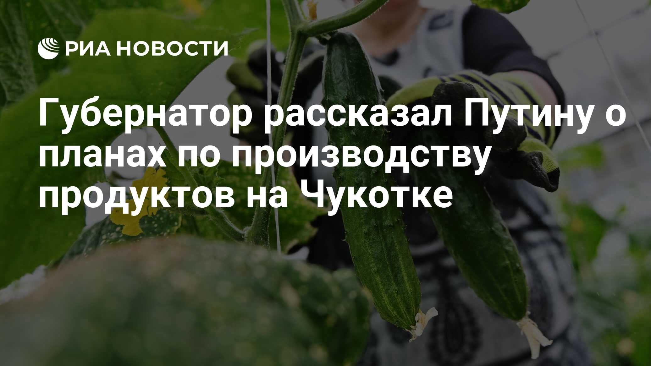 Решение 3 разбор. Решение 3 разбор