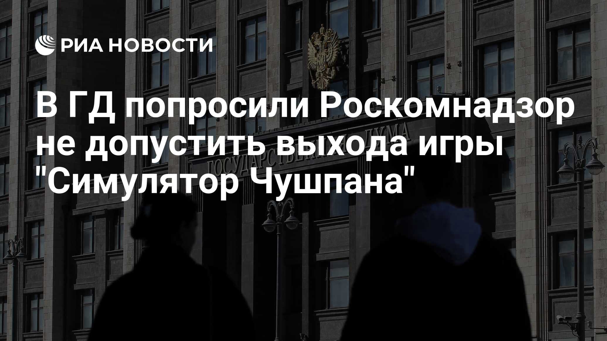 В ГД попросили Роскомнадзор не допустить выхода игры 