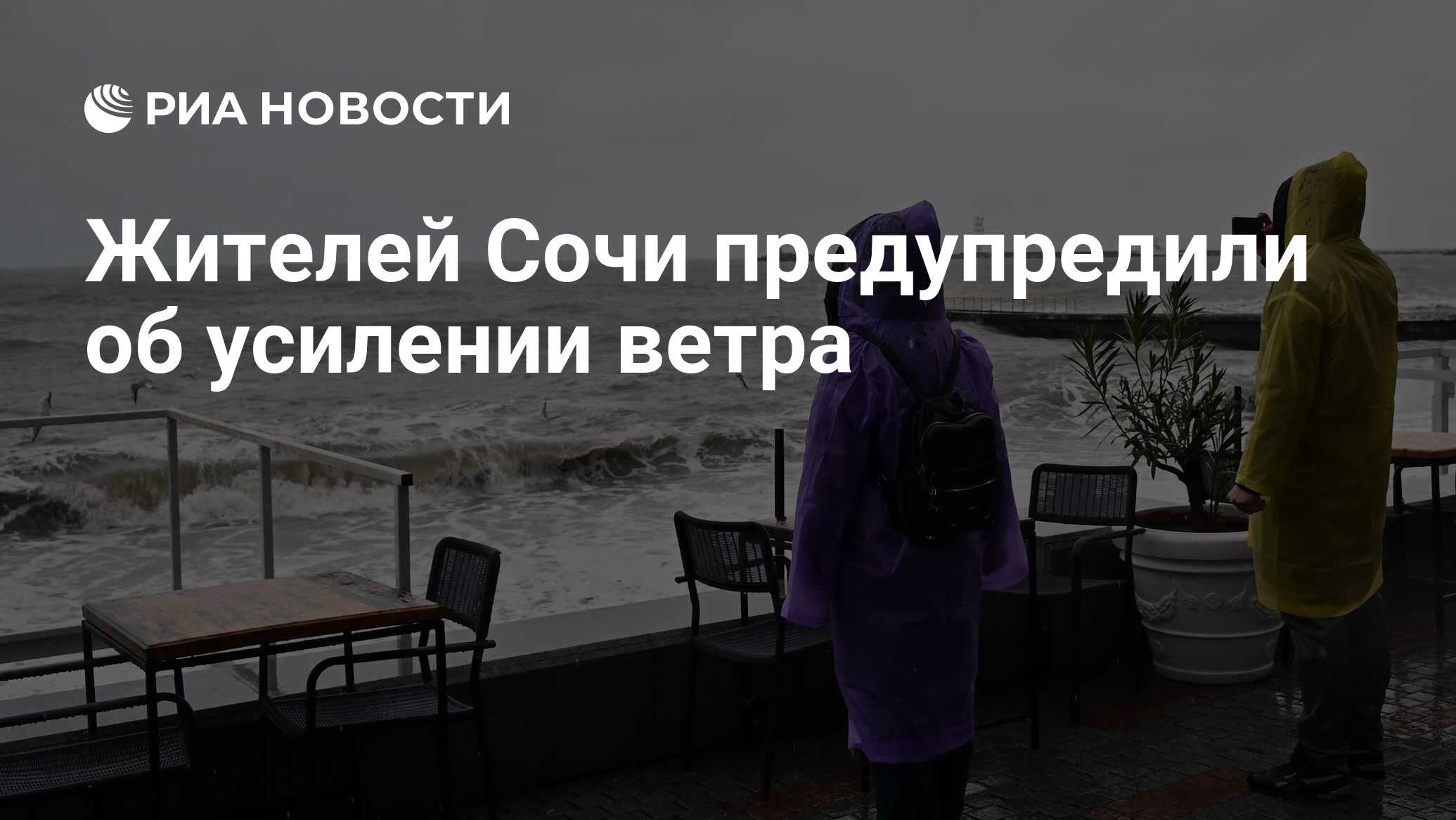 Жителей Сочи предупредили об усилении ветра