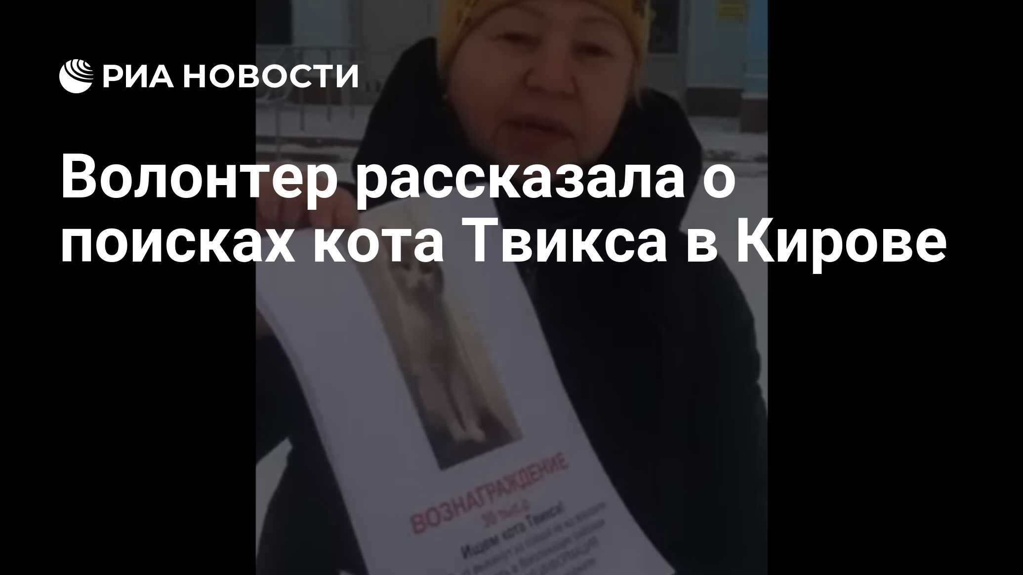 Волонтер рассказала о поисках кота Твикса в Кирове - РИА Новости, 20.01.2024