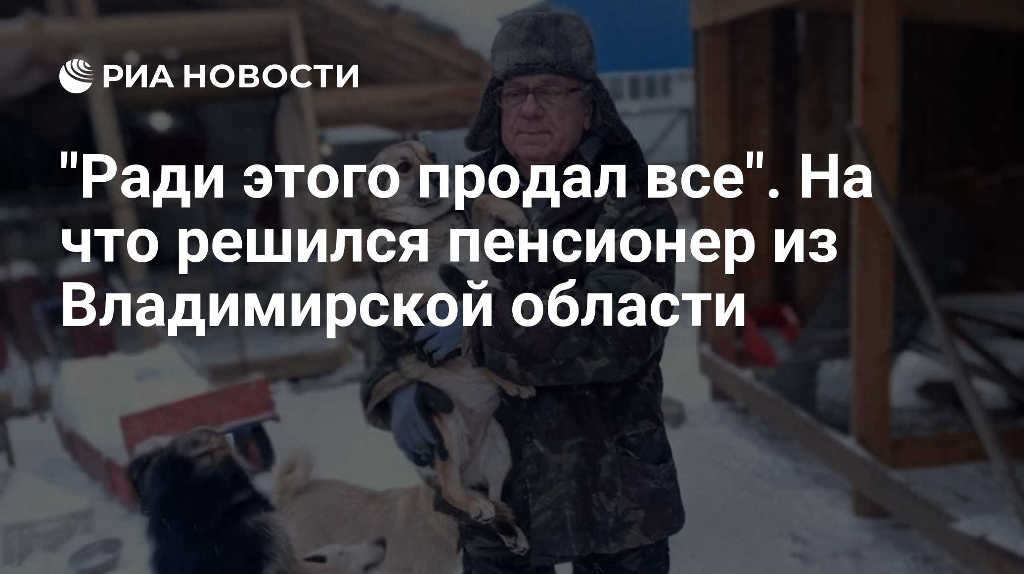 приют для животных гусь хрустальный. приют для животных гусь. собачий приют жуковский раменское. приют для собак в гусь хрустальном. гусь-хрустального приют для животных хвосты.