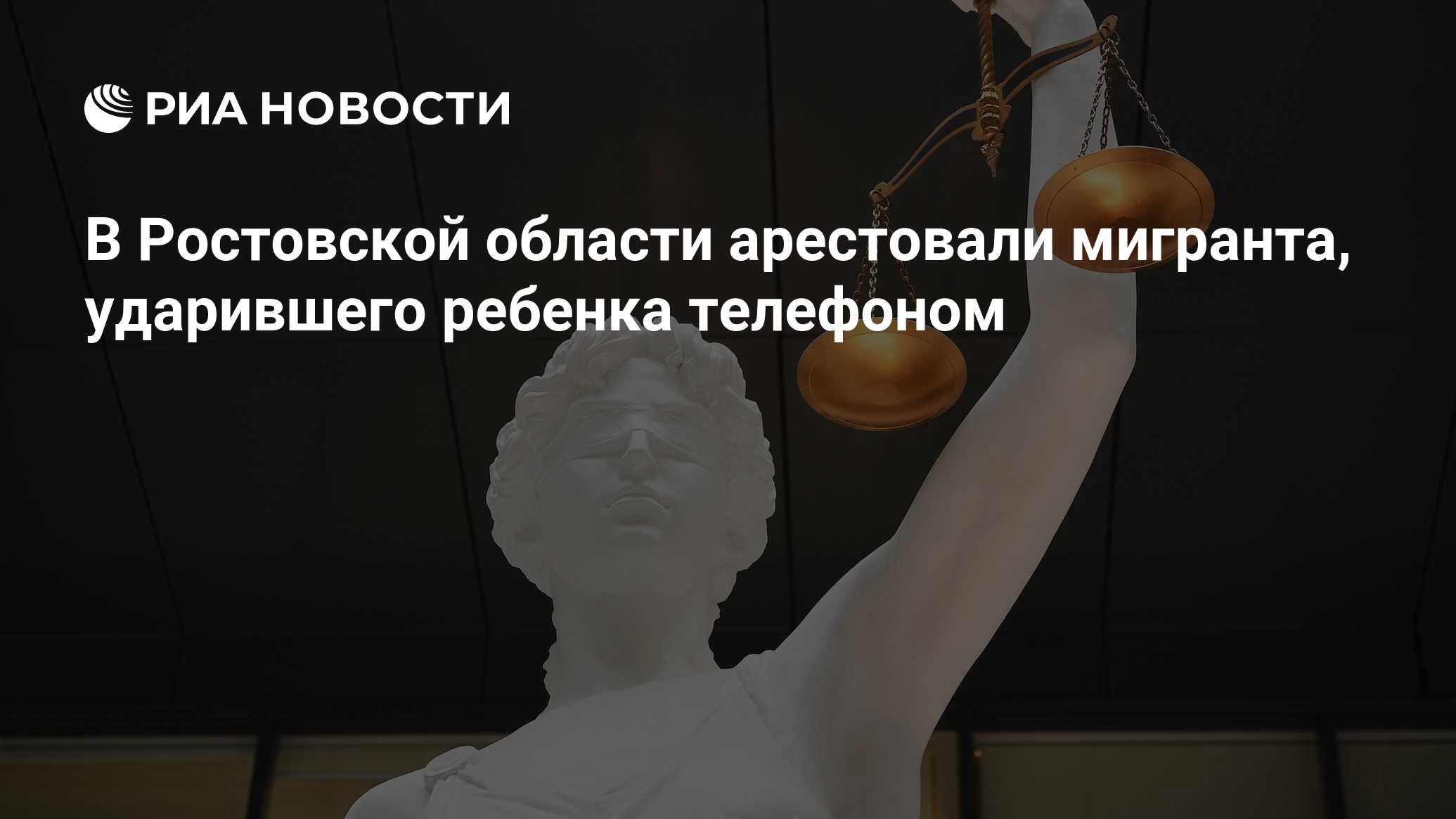 В Ростовской области арестовали мигранта, ударившего ребенка телефоном -  РИА Новости, 19.01.2024