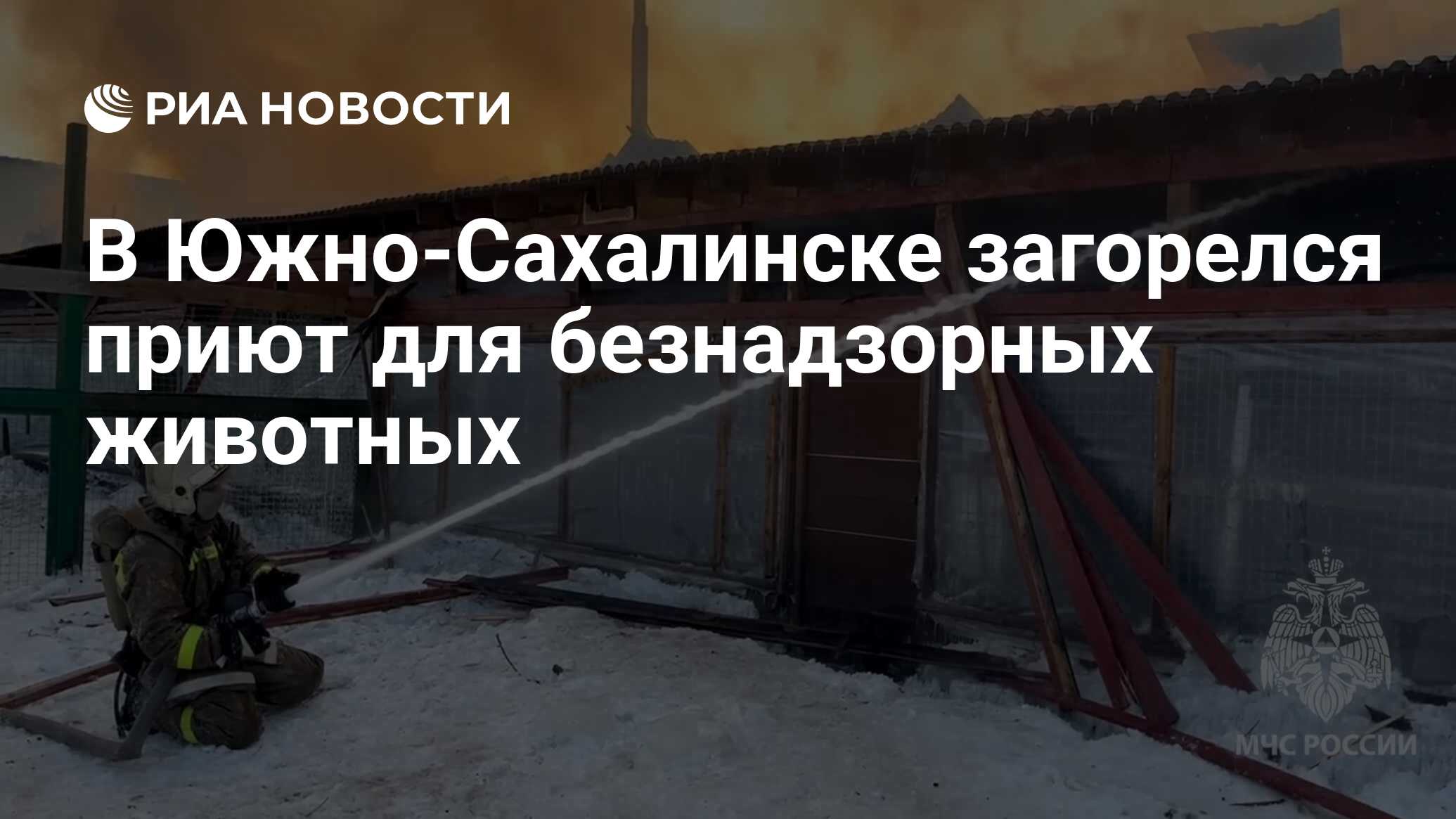 В Южно-Сахалинске загорелся приют для безнадзорных животных - РИА Новости,  20.01.2024