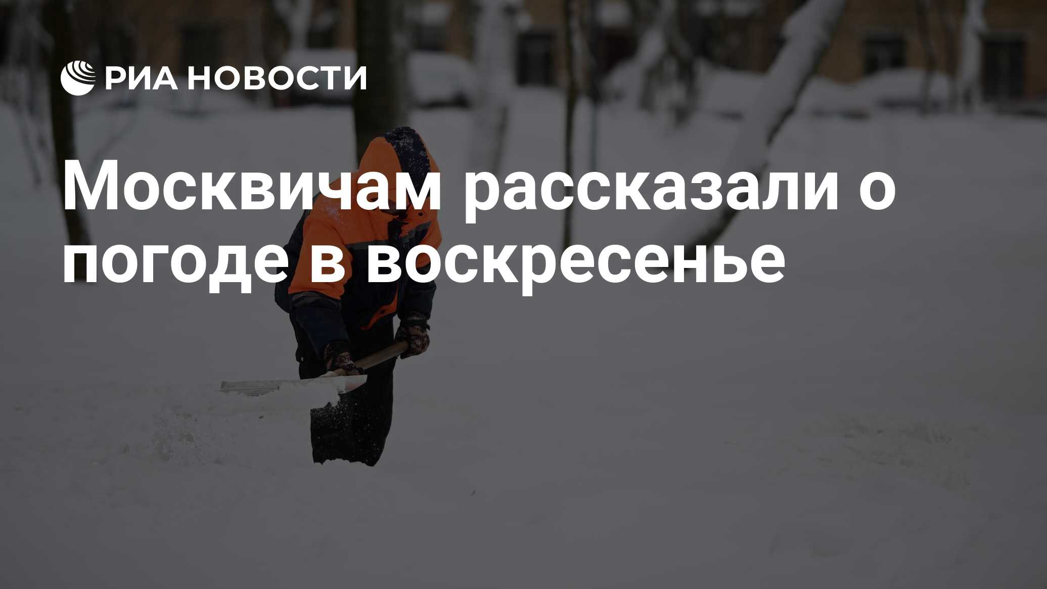 12 января день чего