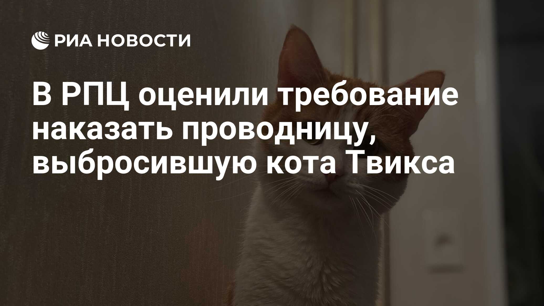 Почему выбросили кота твикса