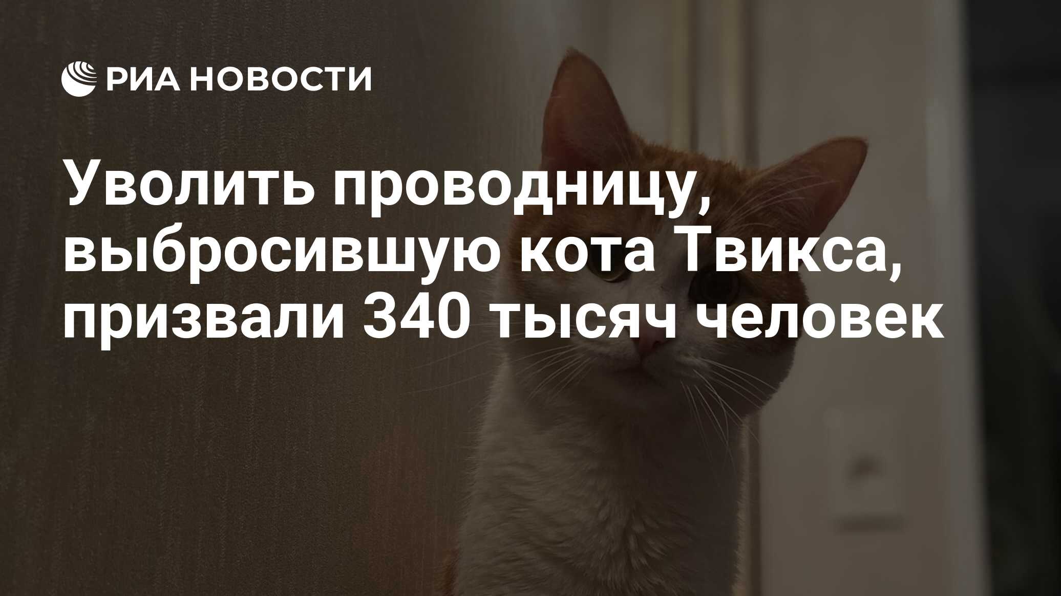 Уволить проводницу, выбросившую кота Твикса, призвали 340 тысяч человек -  РИА Новости, 22.01.2024