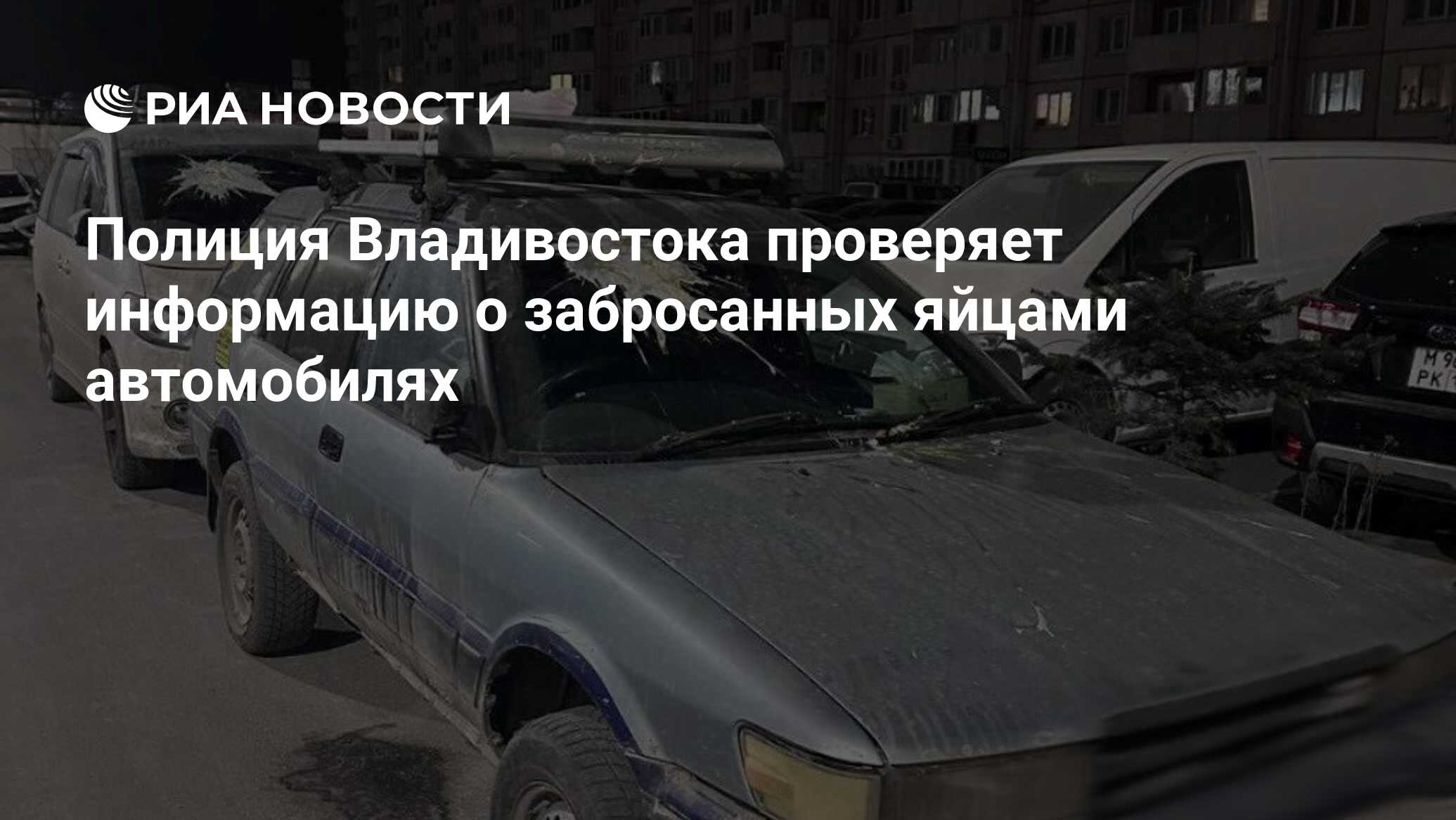 автошик. авто приморье компания. альянс владивосток. автошик иваново. автошик, вологда.