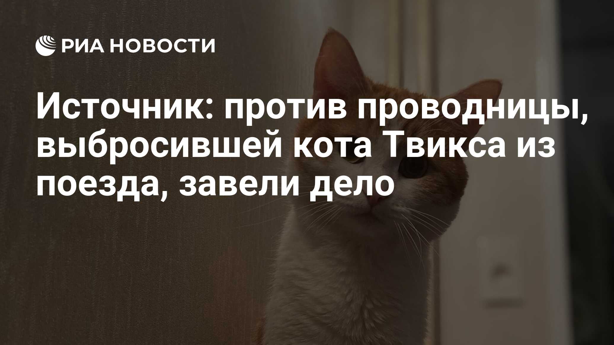 Источник: против проводницы, выбросившей кота Твикса из поезда, завели дело  - РИА Новости, 25.01.2024