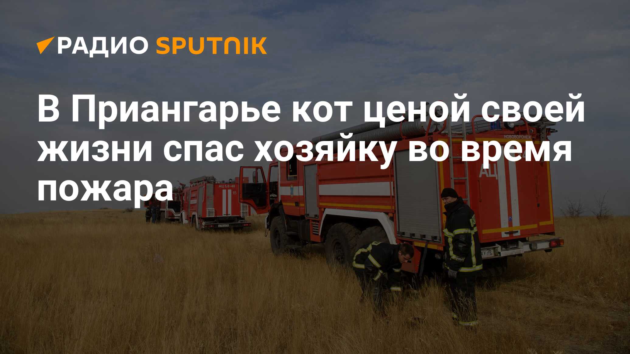 В Приангарье кот ценой своей жизни спас хозяйку во время пожара - Радио  Sputnik, 31.01.2024