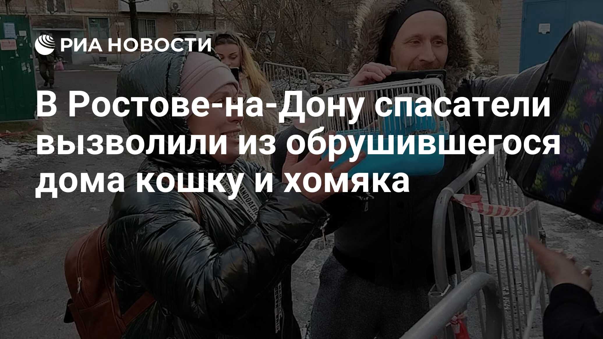 В Ростове-на-Дону спасатели вызволили из обрушившегося дома кошку и хомяка  - РИА Новости, 01.02.2024