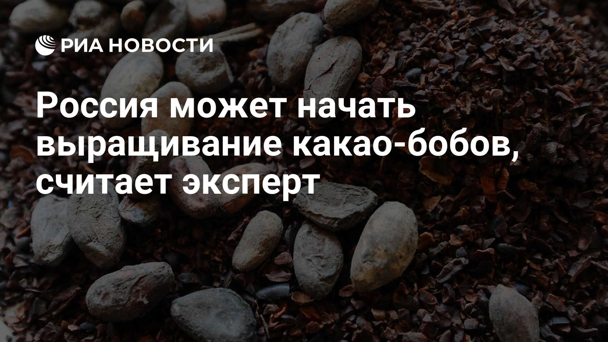 Россия может начать выращивание какао-бобов, считает эксперт - РИА Новости,  03.02.2024