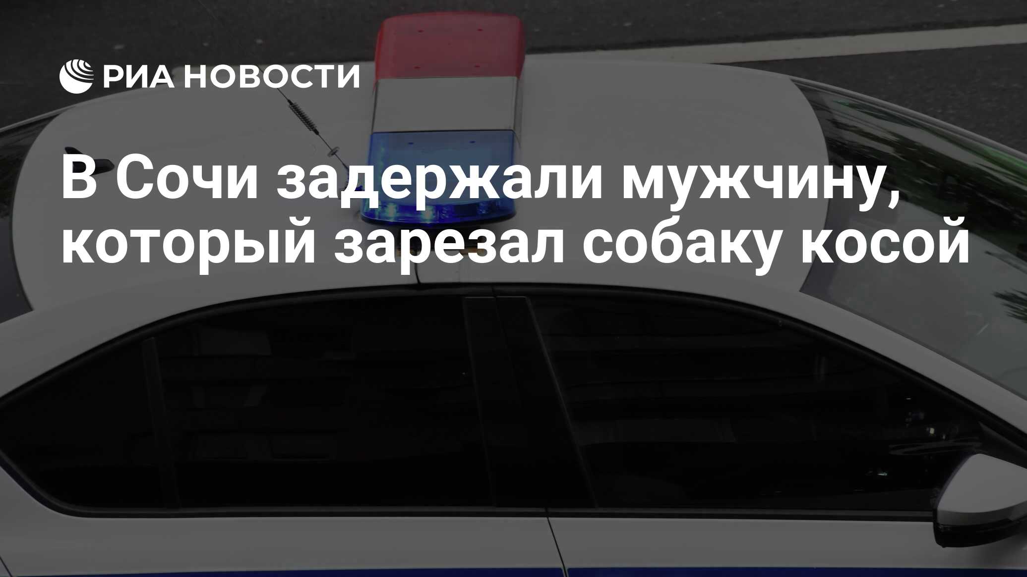 В Сочи задержали мужчину, который зарезал собаку косой