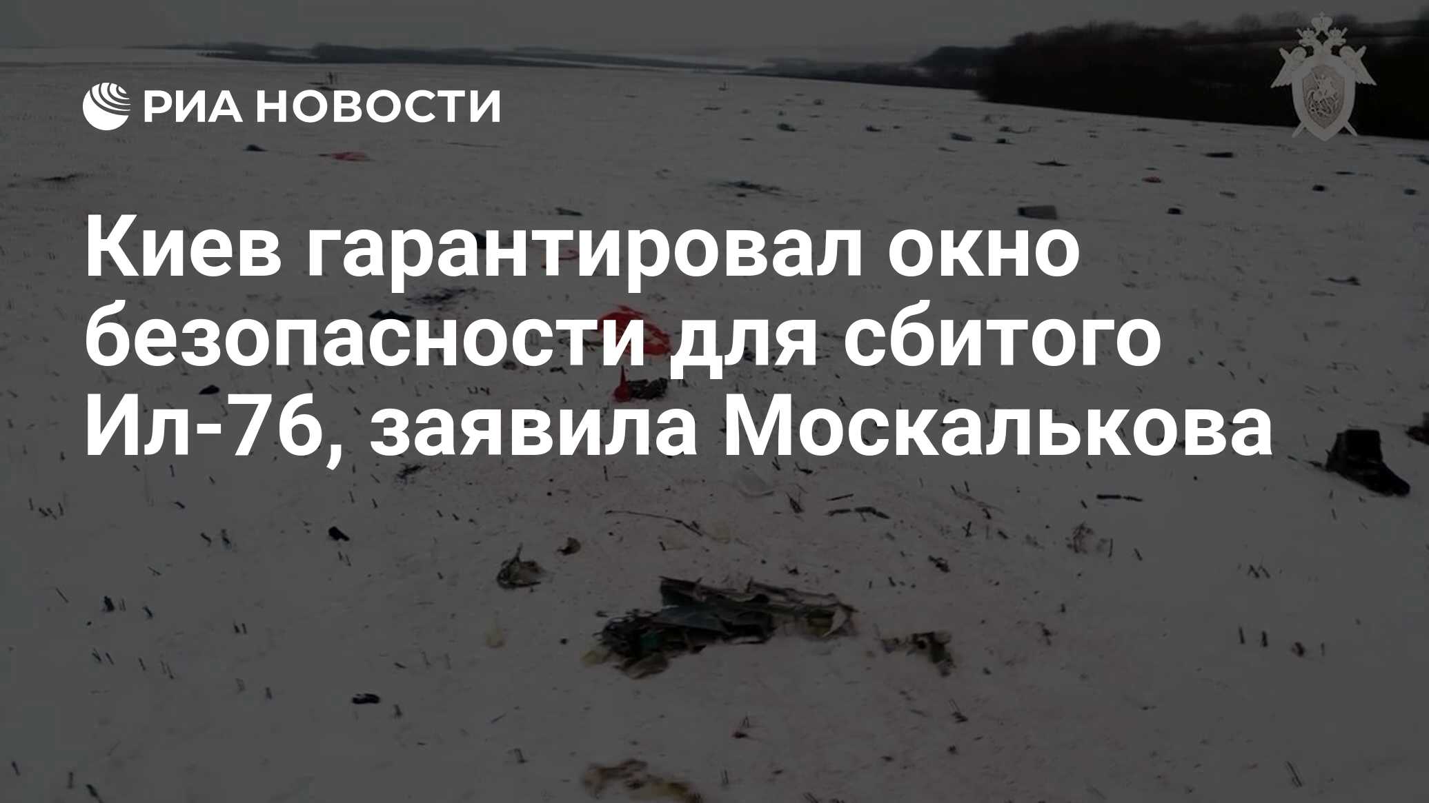 Киев гарантировал окно безопасности для сбитого Ил-76, заявила ...