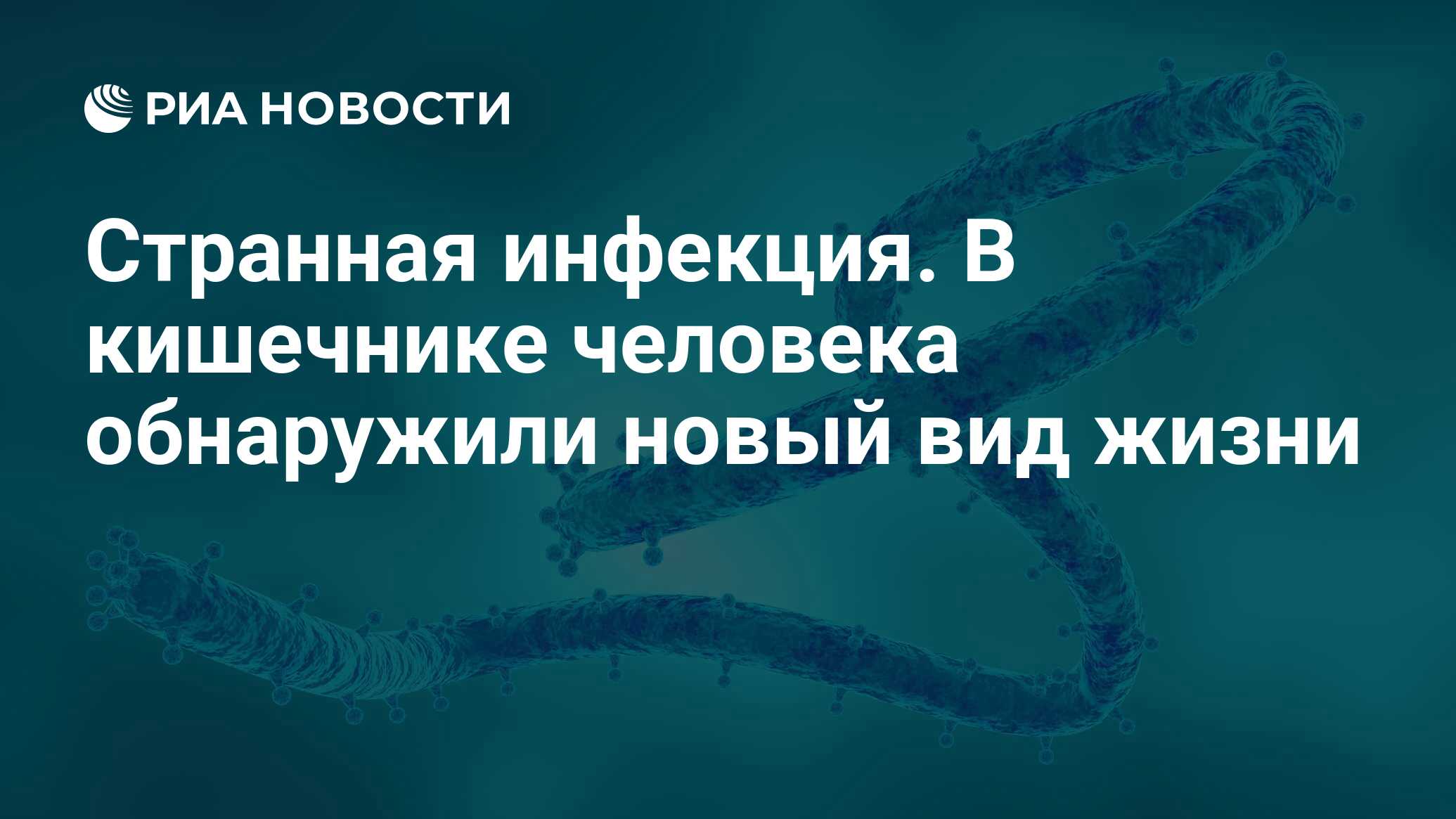 Странная инфекция. В кишечнике человека обнаружили новый вид жизни - РИА  Новости, 09.02.2024