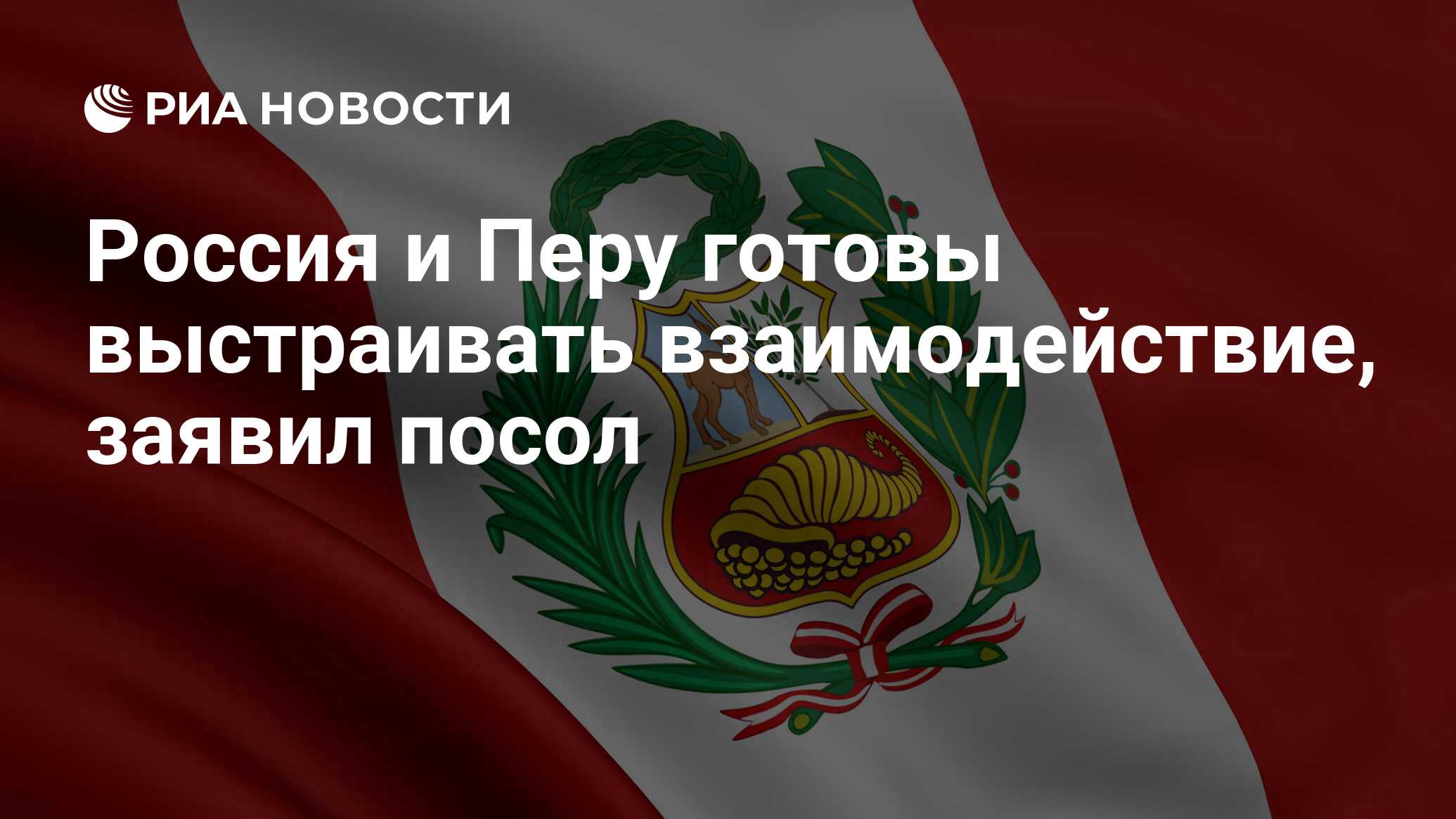 Россия и Перу готовы выстраивать взаимодействие, заявил посол - РИА  Новости, 13.02.2024