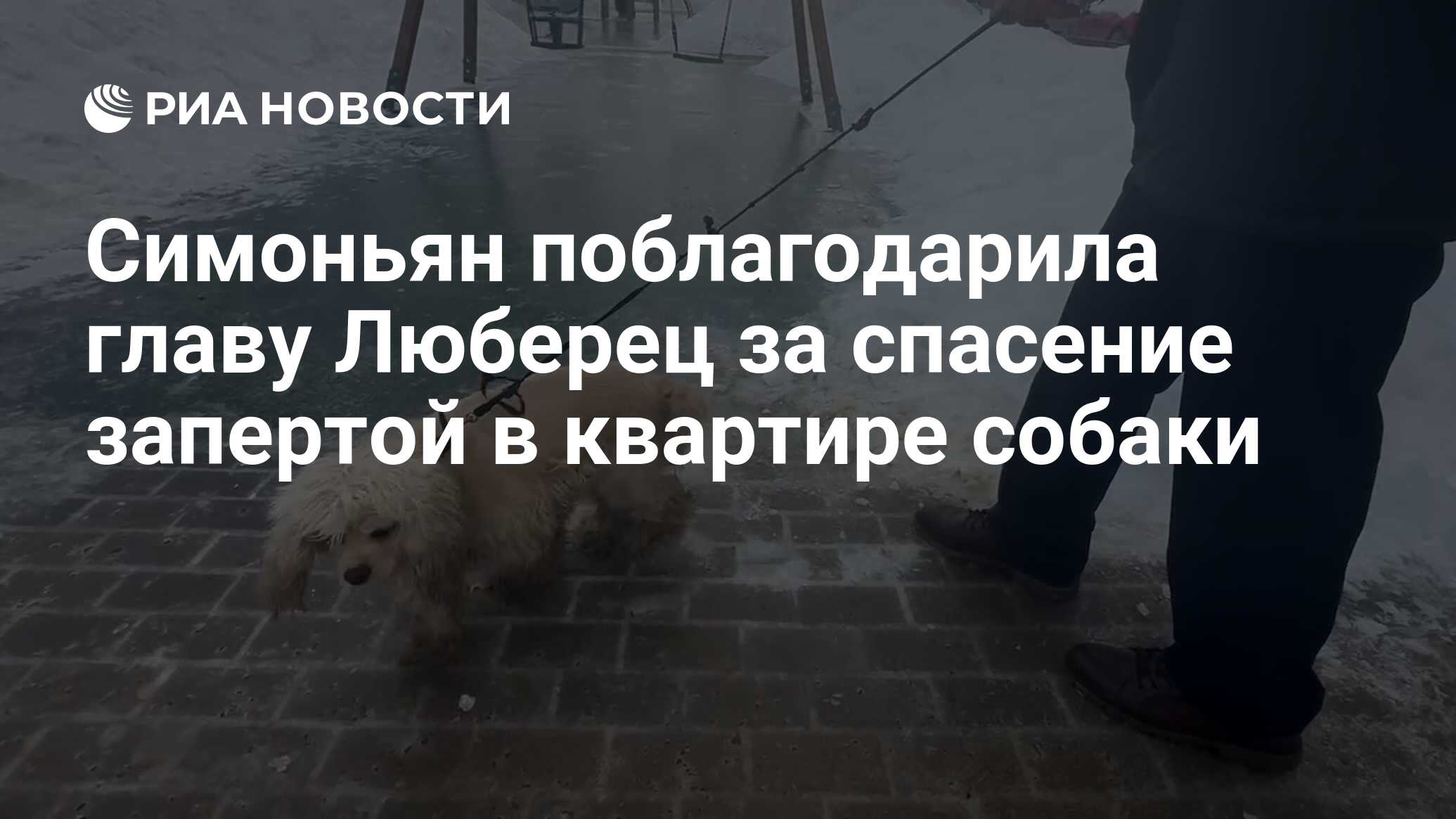 Симоньян поблагодарила главу Люберец за спасение запертой в квартире собаки  - РИА Новости, 14.02.2024