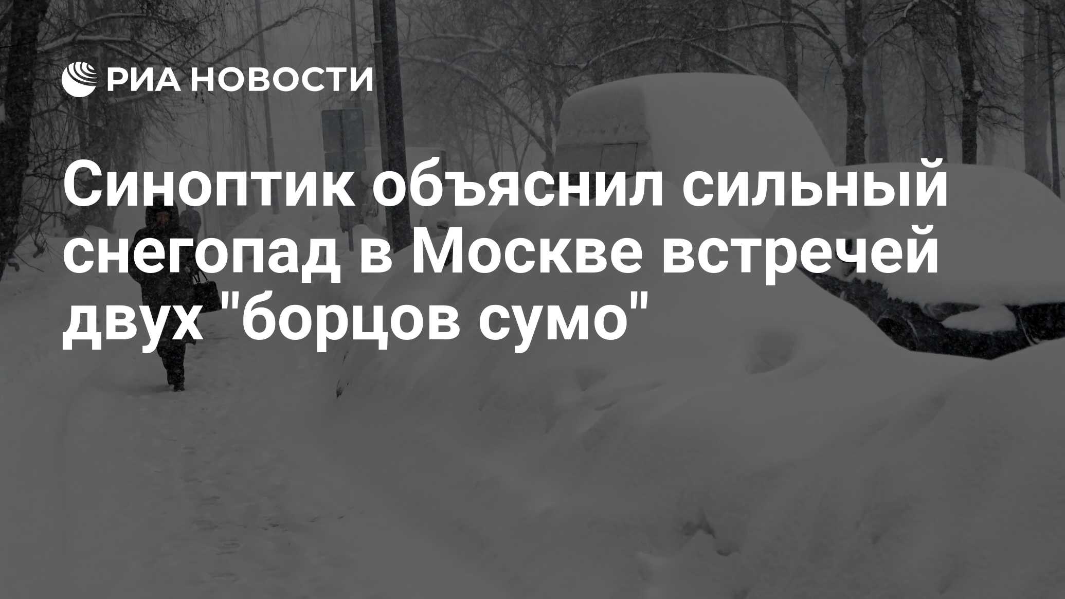 Синоптик объяснил сильный снегопад в Москве встречей двух "борцов сумо