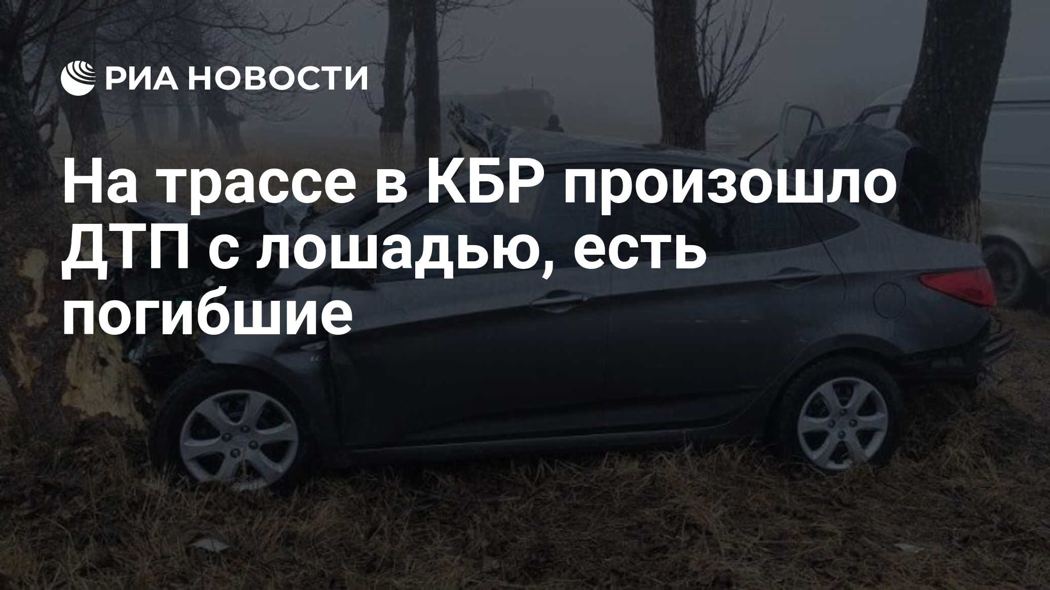 На трассе в КБР произошло ДТП с лошадью, есть погибшие - РИА Новости,  16.02.2024