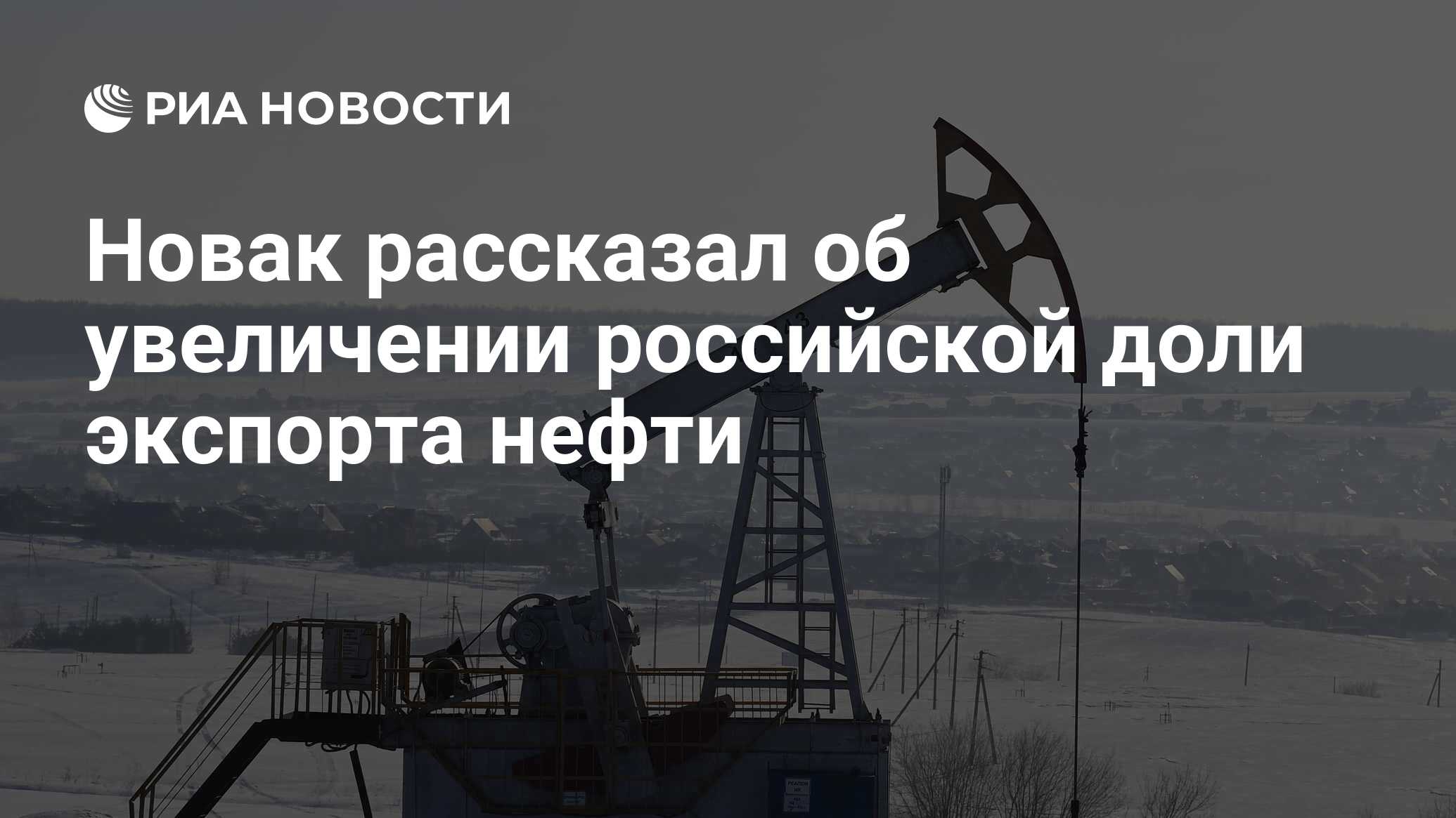 Новак рассказал об увеличении российской доли экспорта нефти - РИА Новости,  20.02.2024