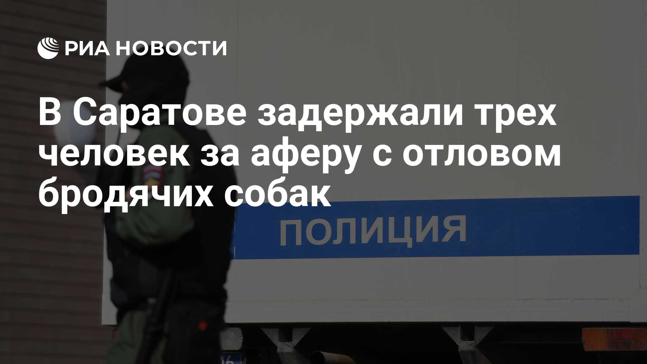 В Саратове задержали трех человек за аферу с отловом бродячих собак