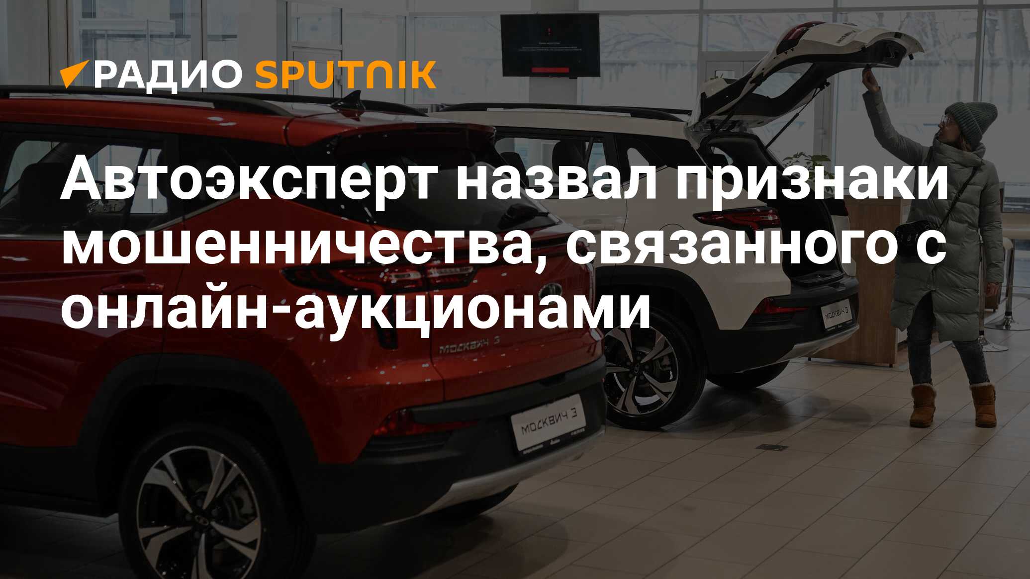 Автоэксперт назвал признаки мошенничества, связанного с онлайн-аукционами -  Радио Sputnik, 03.03.2024