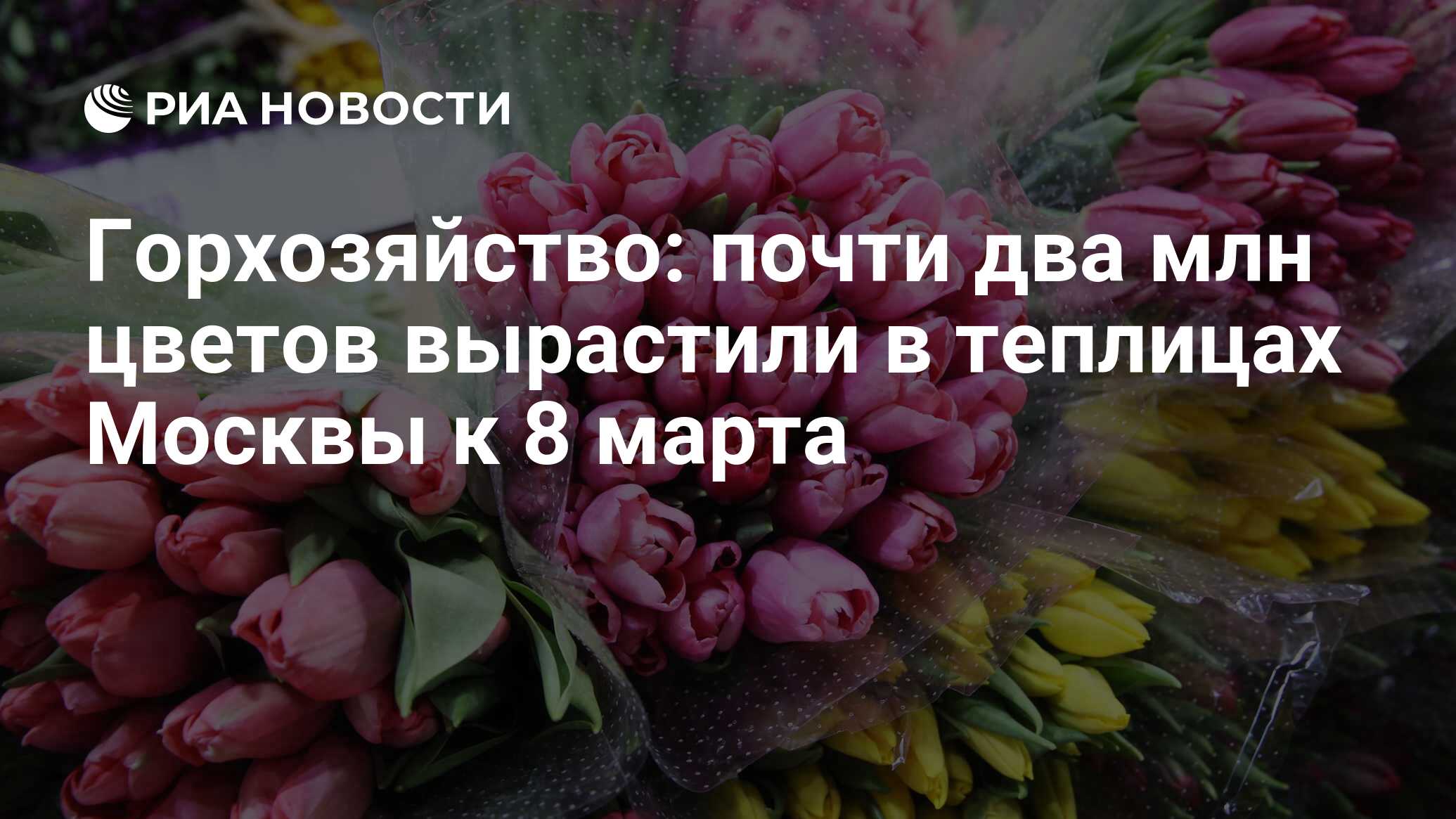 Горхозяйство: почти два млн цветов вырастили в теплицах Москвы к 8