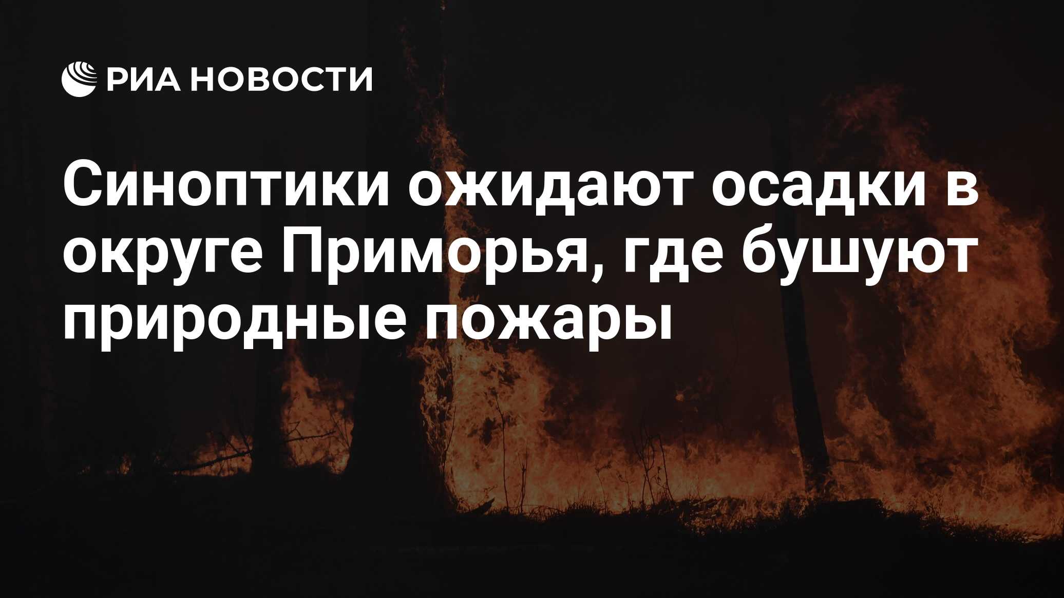 Синоптики ожидают осадки в округе Приморья, где бушуют природные пожары 