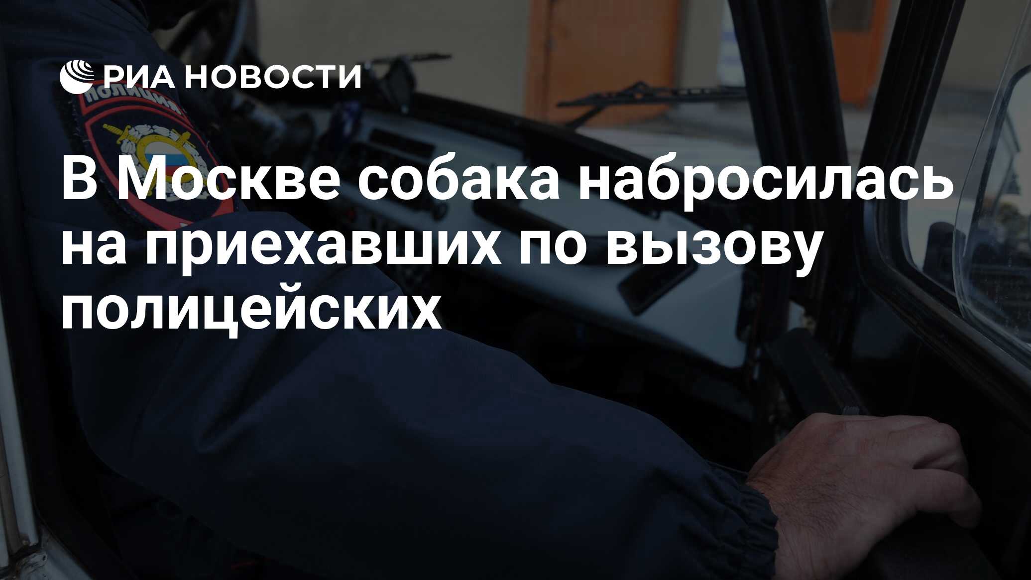 В Москве собака набросилась на приехавших по вызову полицейских - РИА  Новости, 06.03.2024