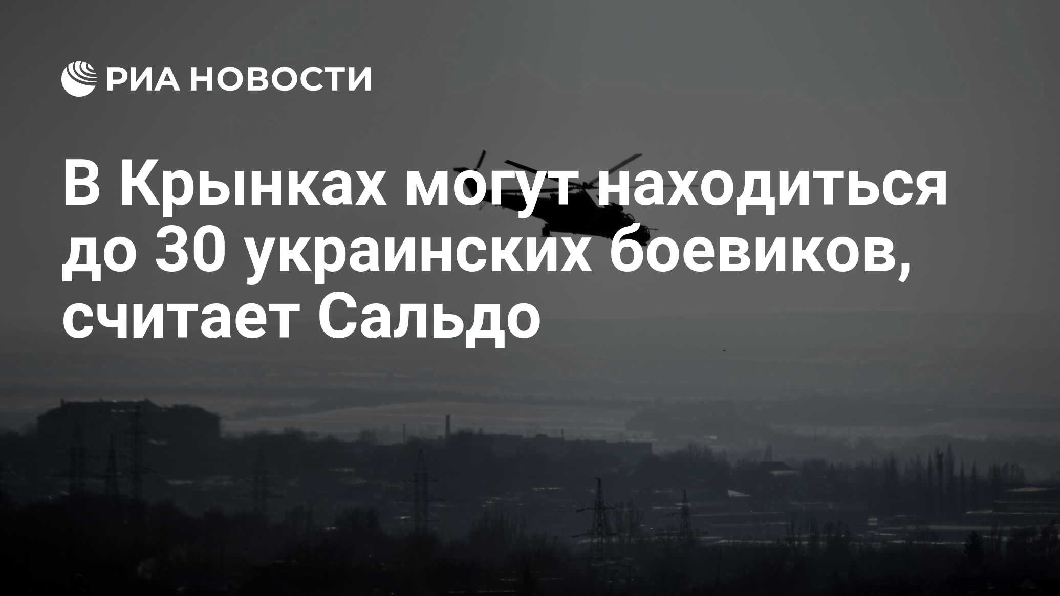 В Крынках могут находиться до 30 украинских боевиков, считает Сальдо - РИА  Новости, 11.03.2024