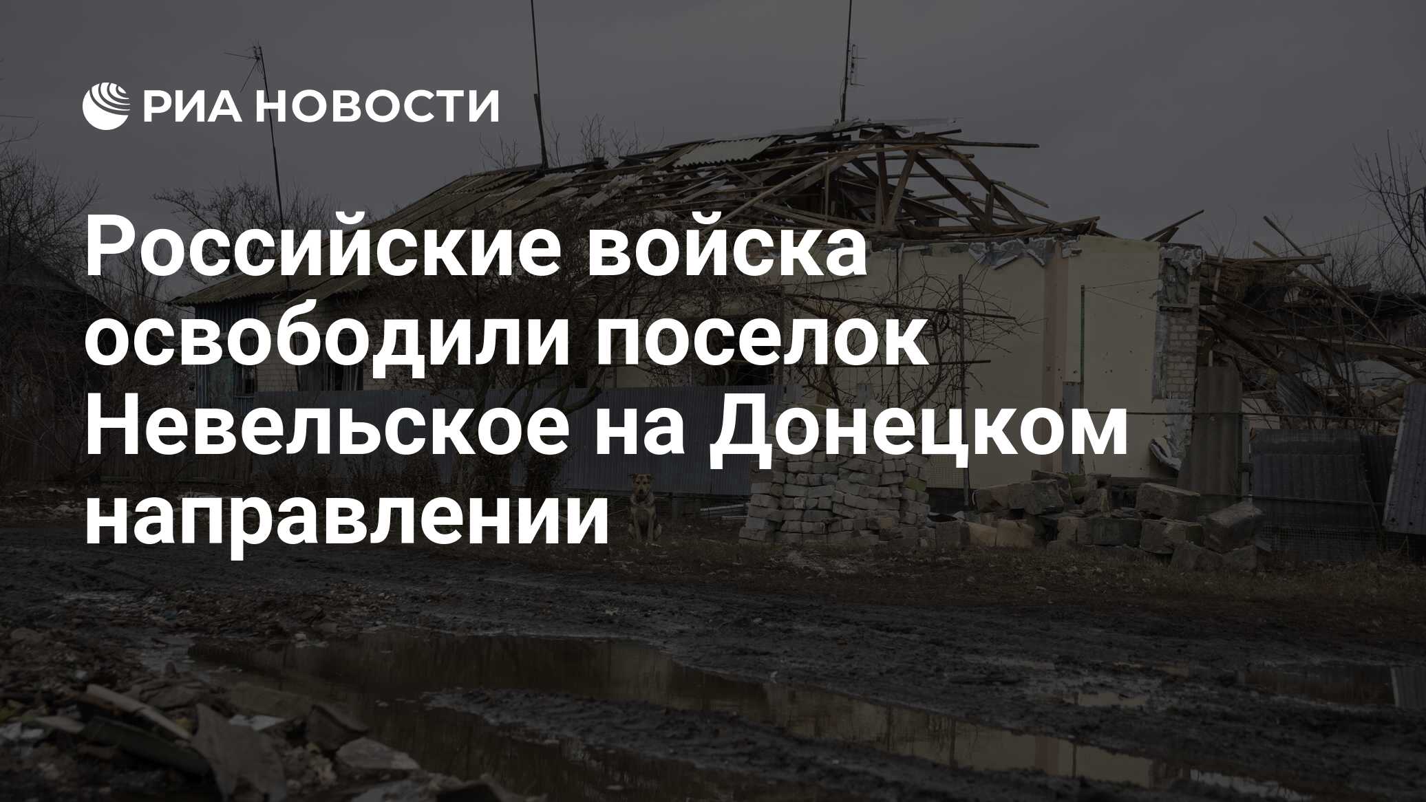 Российские войска освободили поселок Невельское на Донецком направлении -  РИА Новости, 12.03.2024