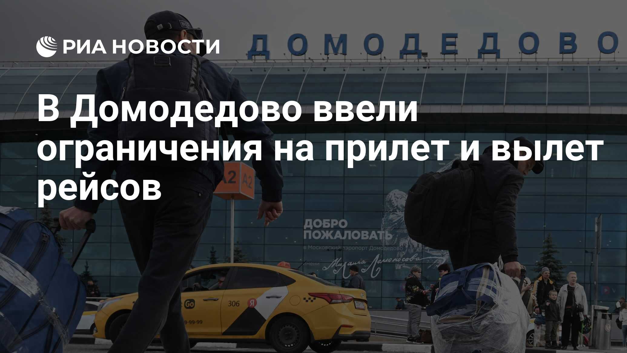 В Домодедово ввели ограничения на прилет и вылет рейсов - РИА Новости,  17.03.2024