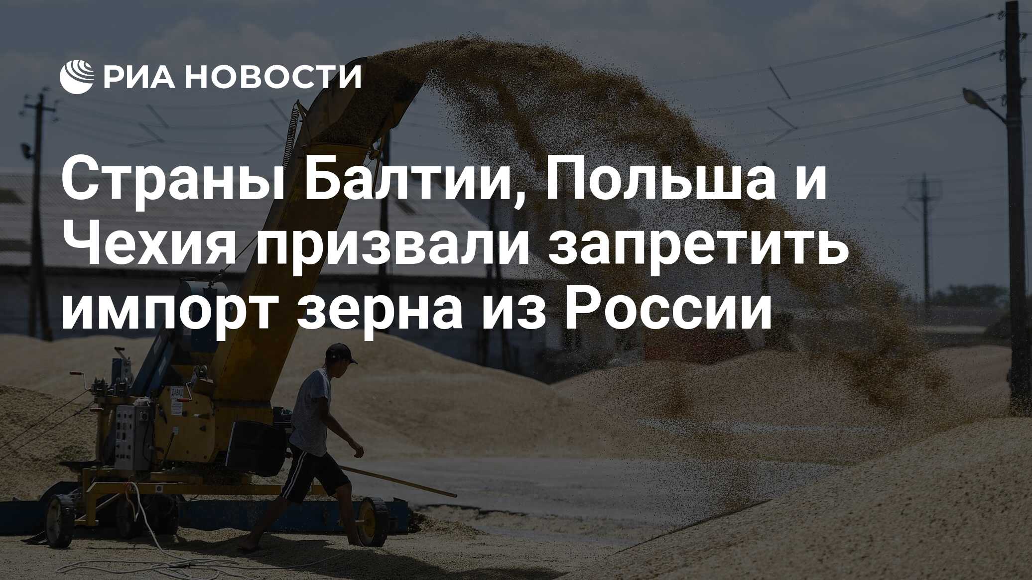 Страны Балтии, Польша и Чехия призвали запретить импорт зерна из России -  РИА Новости, 21.03.2024