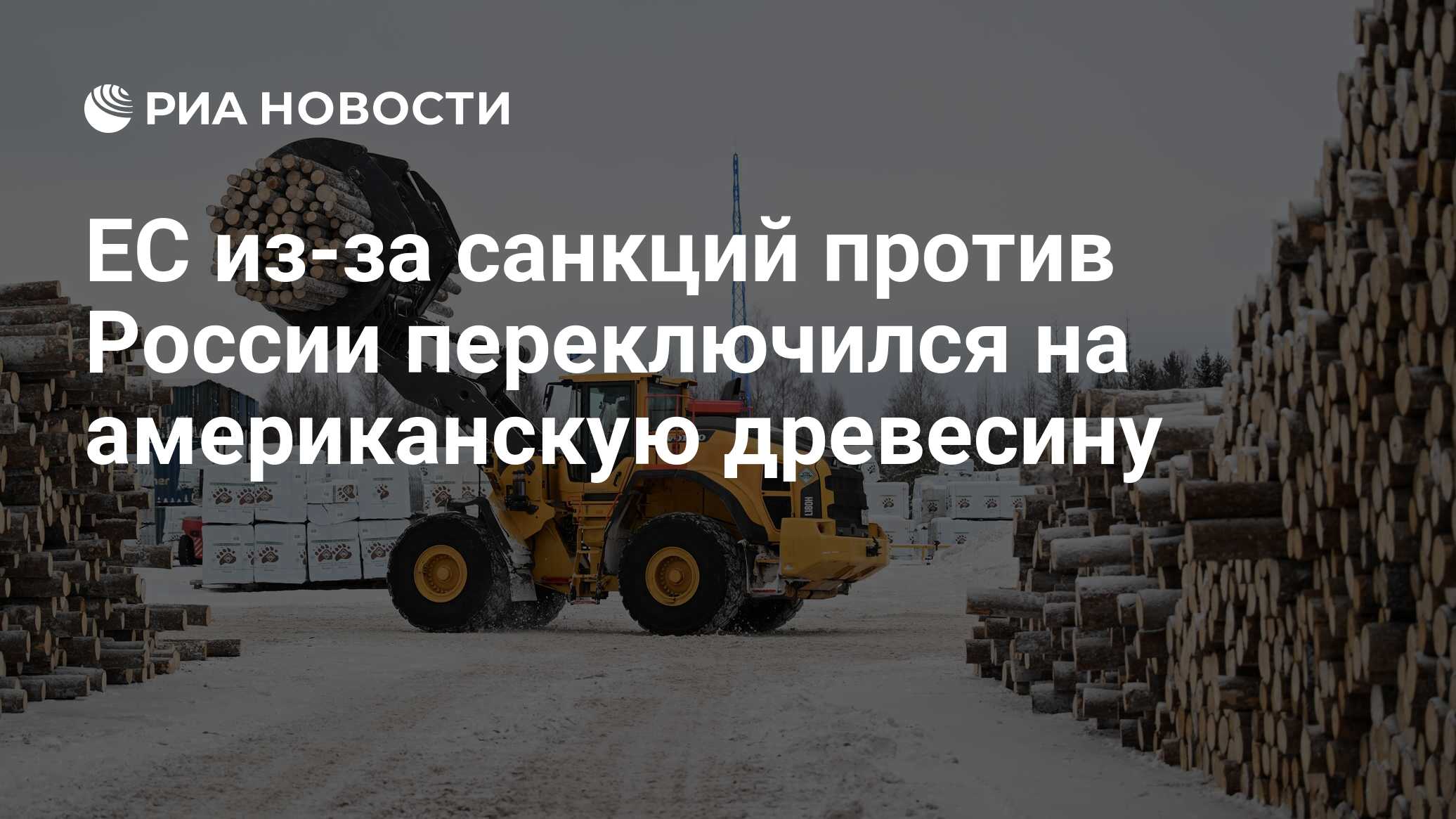 ЕС из-за санкций против России переключился на американскую древесину - РИА  Новости, 25.03.2024