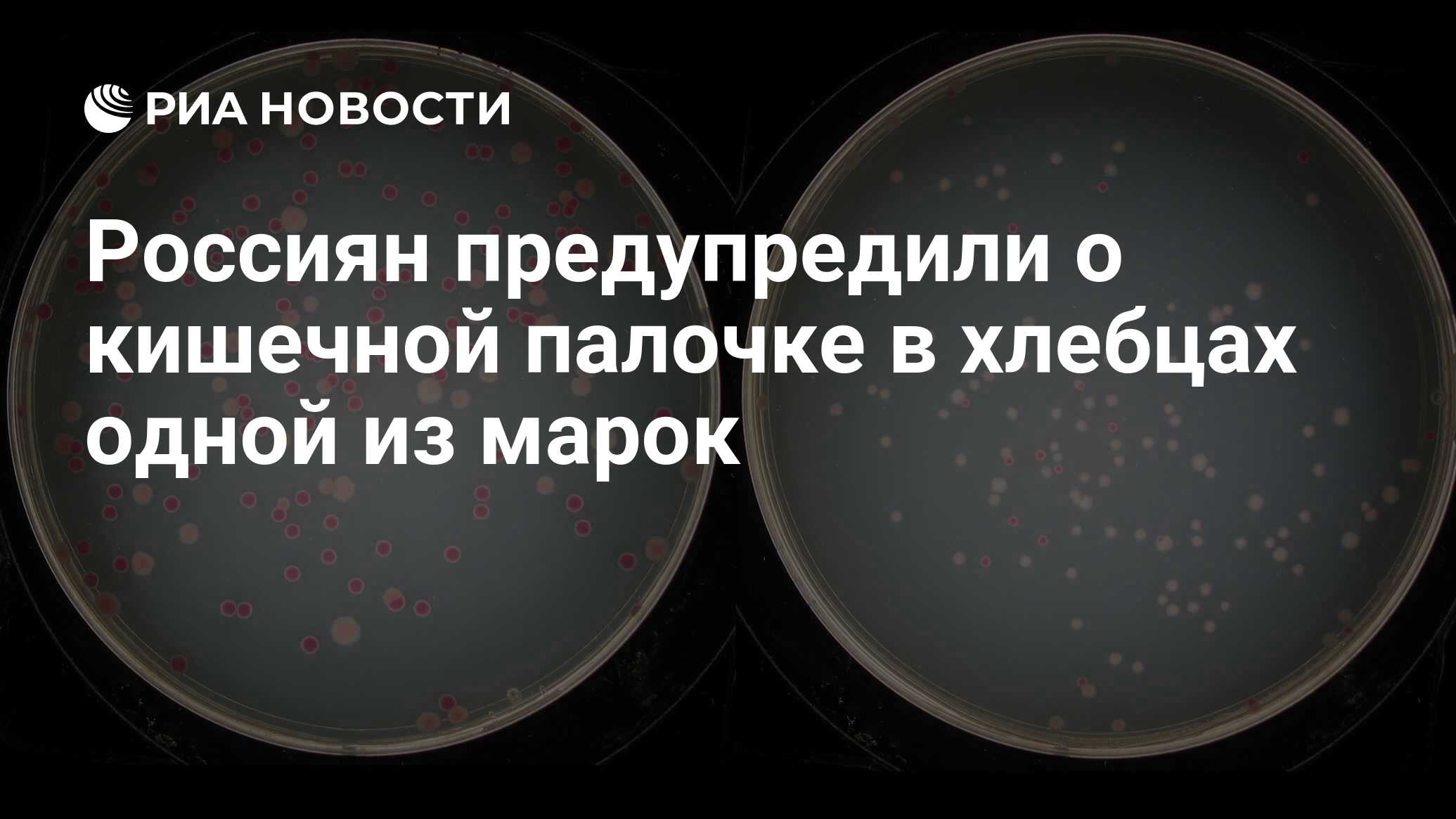 Россиян предупредили о кишечной палочке в хлебцах одной из марок - РИА  Новости, 28.03.2024