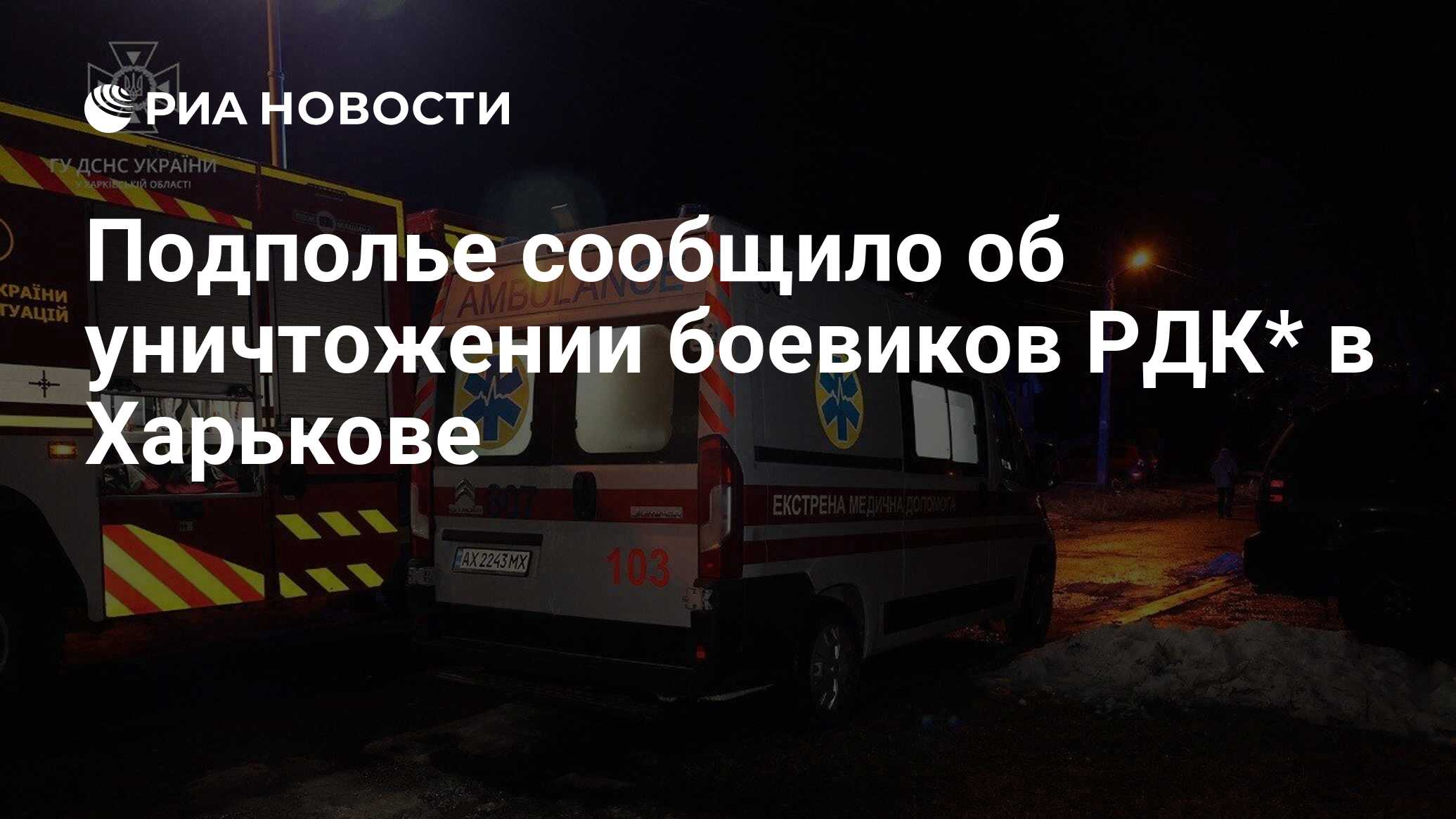 Подполье сообщило об уничтожении боевиков РДК* в Харькове - РИА Новости,  28.03.2024