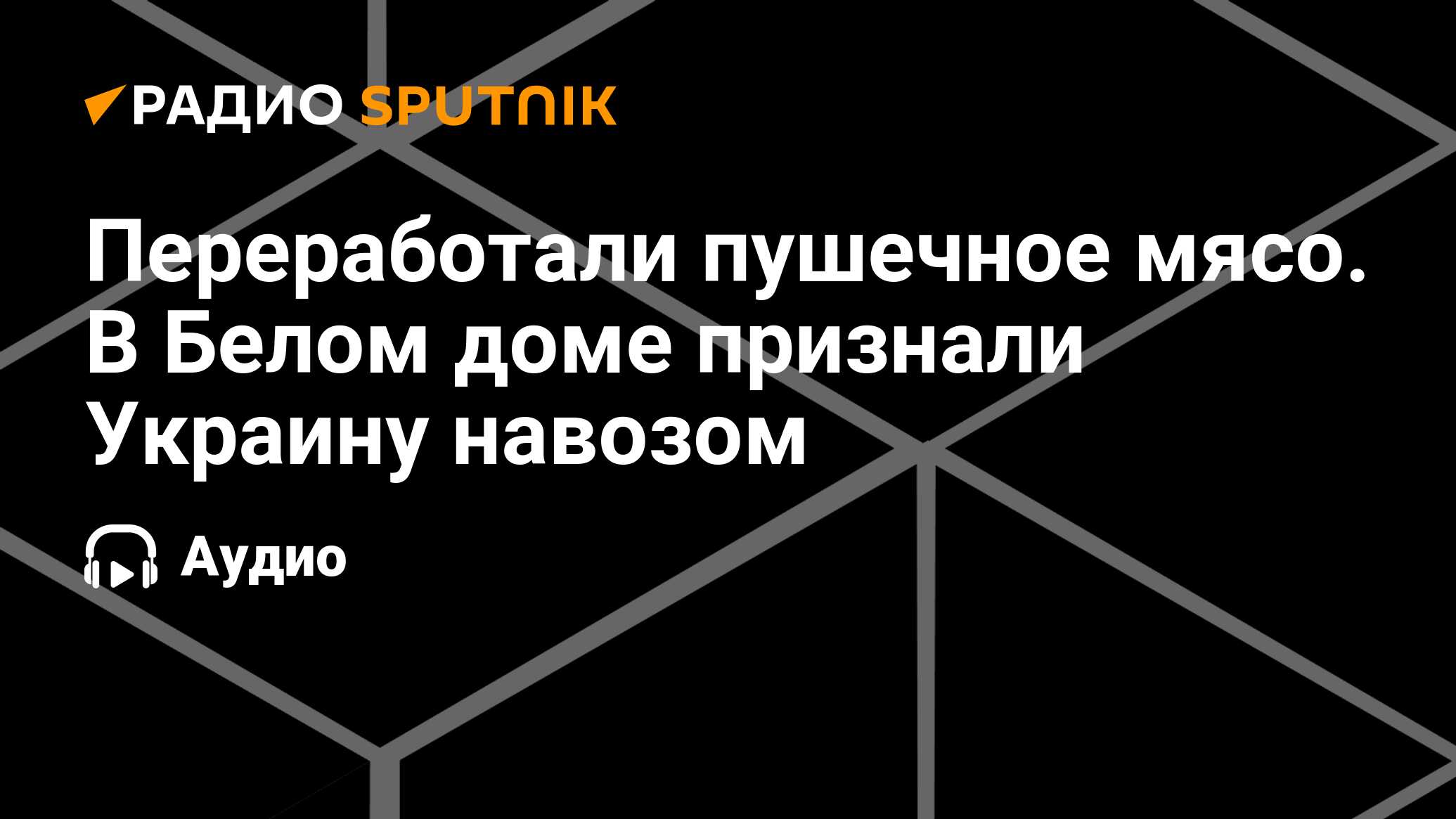 Переработали пушечное мясо. В Белом доме признали Украину навозом - Радио  Sputnik, 30.03.2024