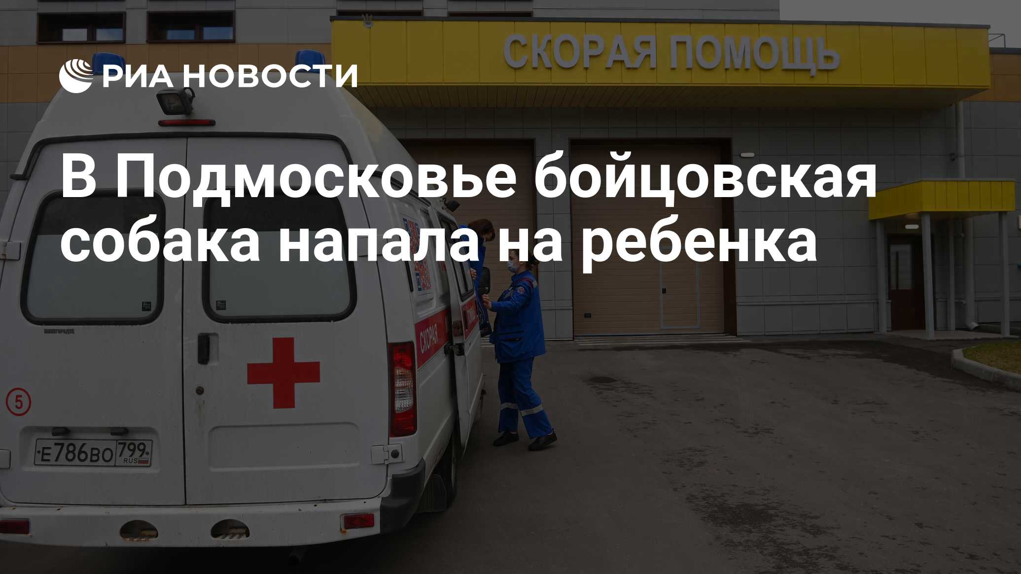 В Подмосковье бойцовская собака напала на ребенка - РИА Новости, 03.04.2024