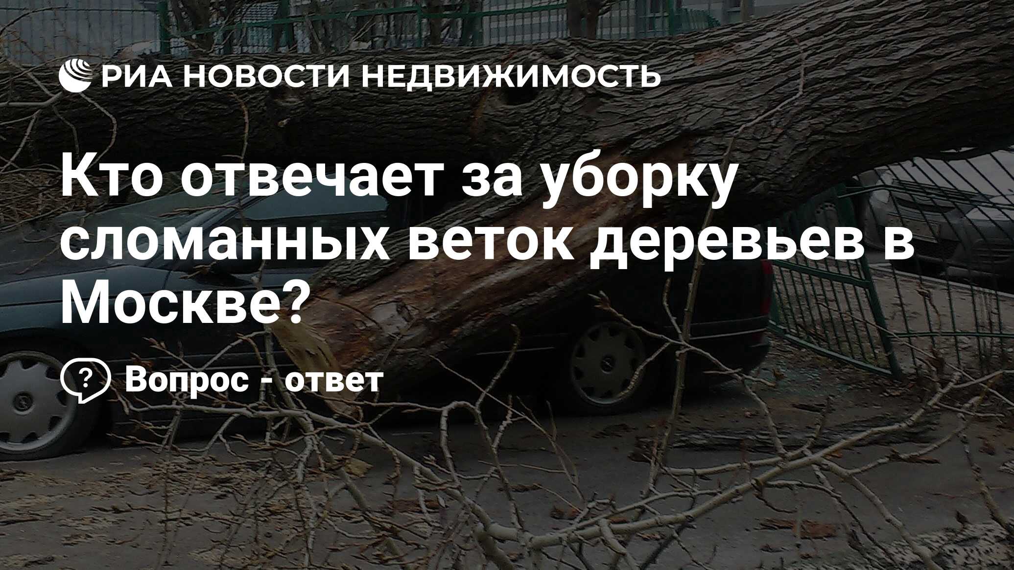 Кто отвечает за уборку сломанных веток деревьев в Москве? - Недвижимость  РИА Новости, 03.04.2024