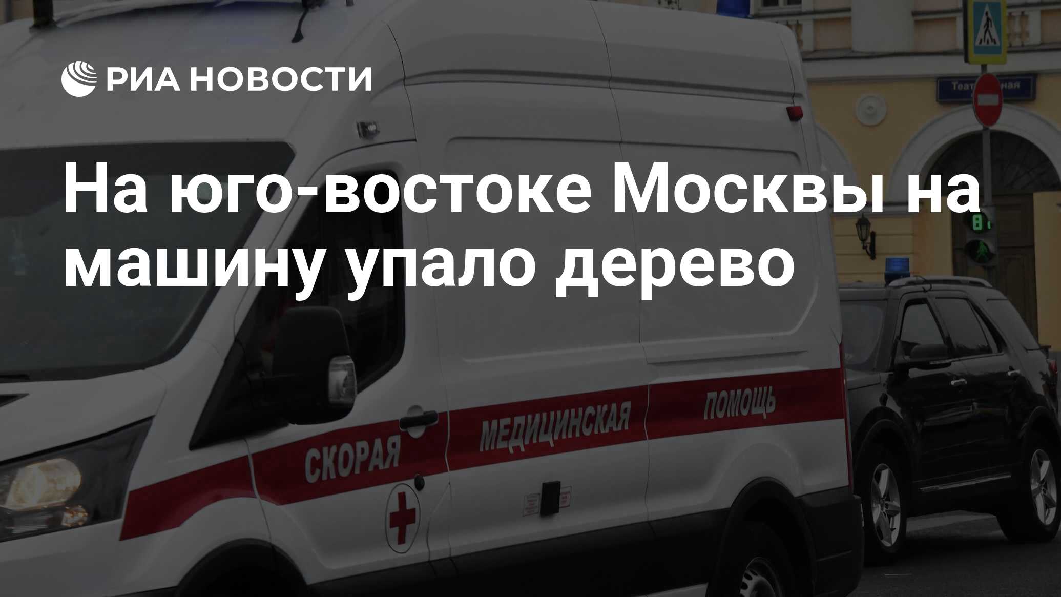 На юго-востоке Москвы на машину упало дерево - РИА Новости, 03.04.2024