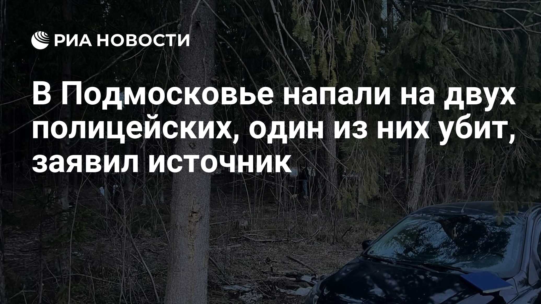 В Подмосковье напали на двух полицейских, один из них убит, заявил источник  - РИА Новости, 07.04.2024