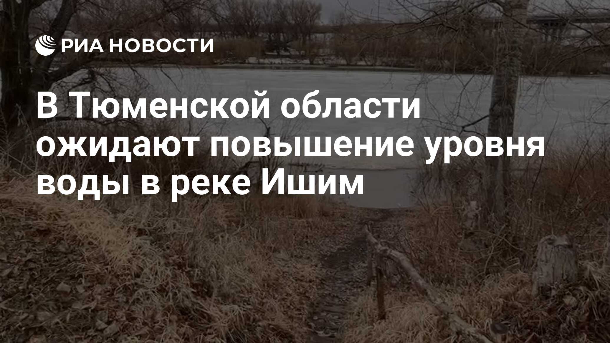 В Тюменской области ожидают повышение уровня воды в реке Ишим - РИА  Новости, 12.04.2024