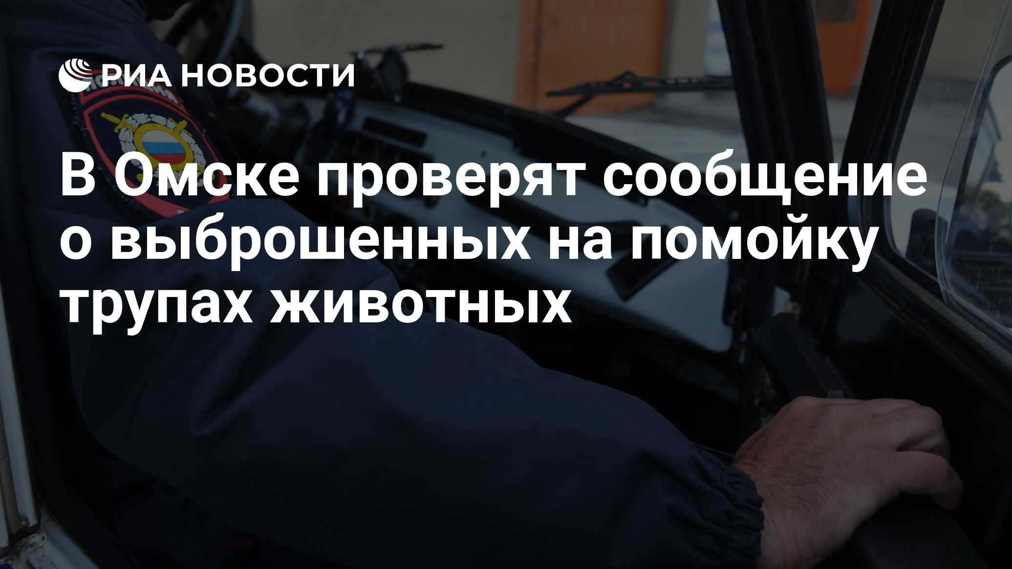 В Омске проверят сообщение о выброшенных на помойку трупах животных - РИА  Новости, 12.04.2024