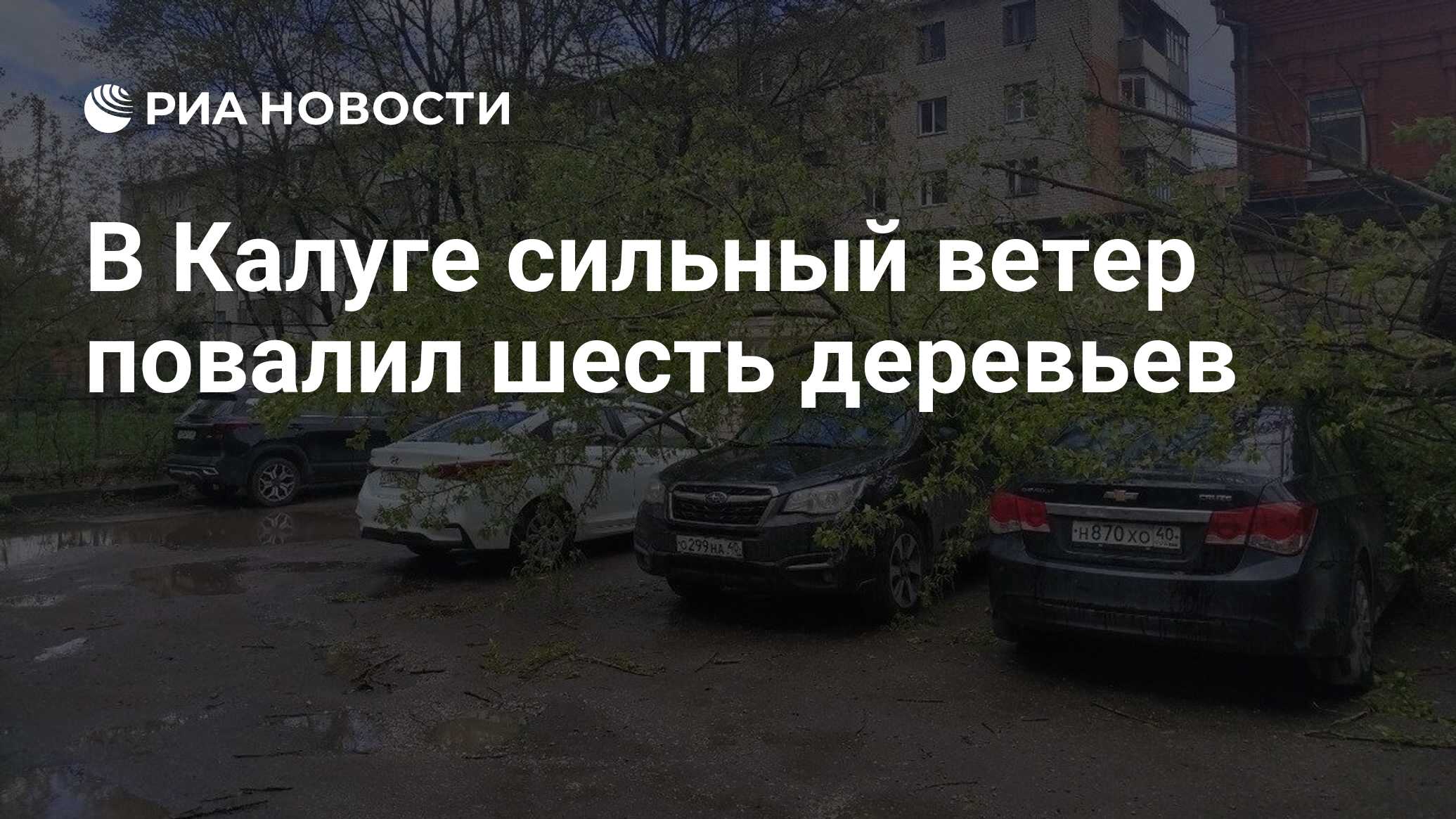 В Калуге сильный ветер повалил шесть деревьев - РИА Новости, 19.04.2024