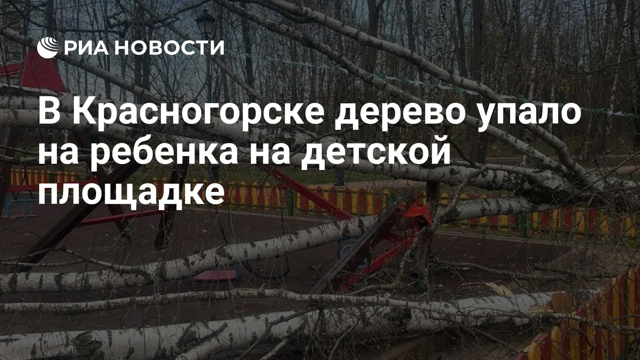 В Красногорске дерево упало на ребенка на детской площадке - РИА Новости,  21.04.2024