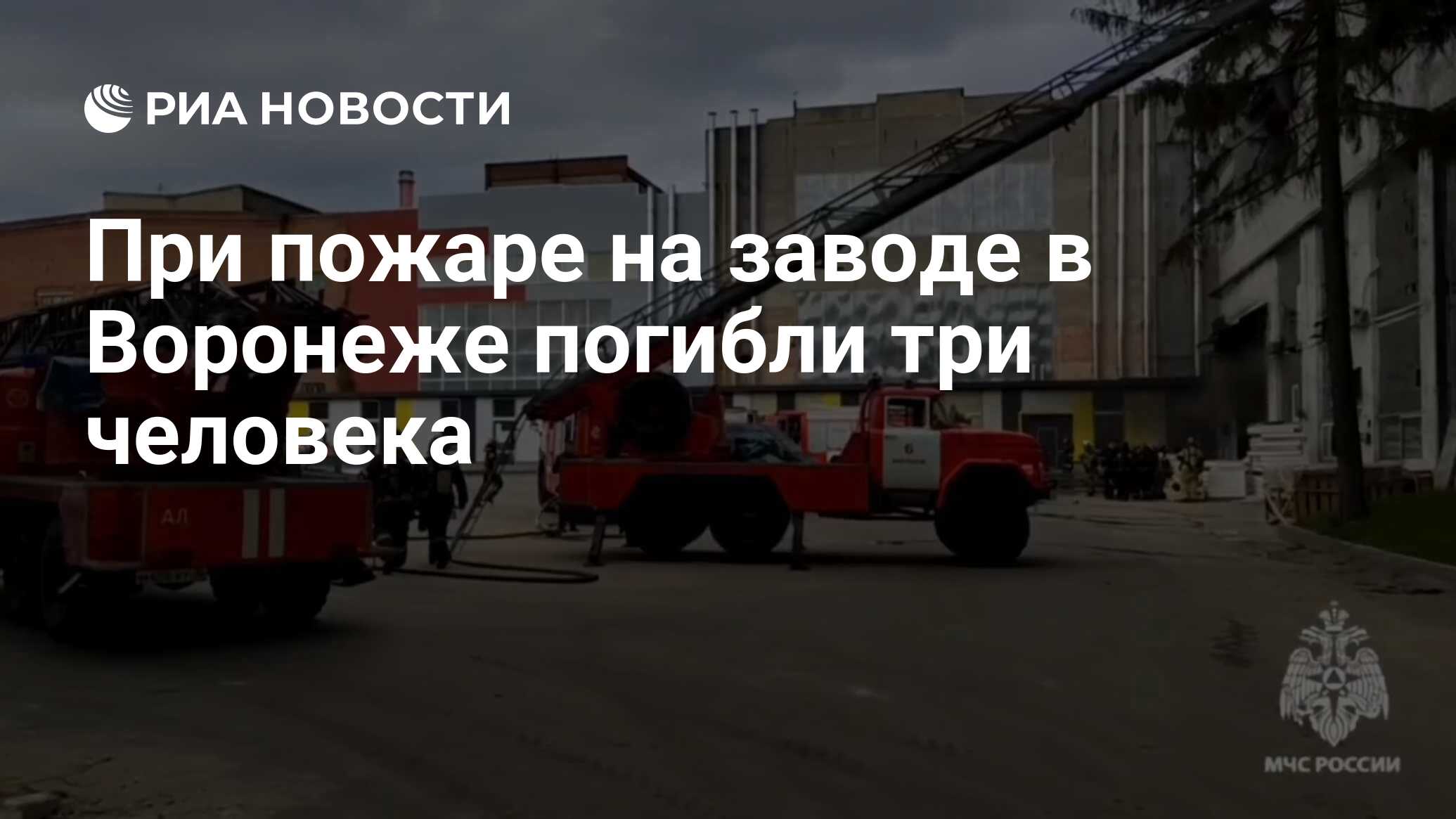 При пожаре на заводе в Воронеже погибли три человека - РИА Новости,  22.04.2024